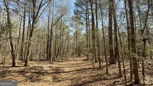 864 Stephens Salem Road Stephens, GA 30667