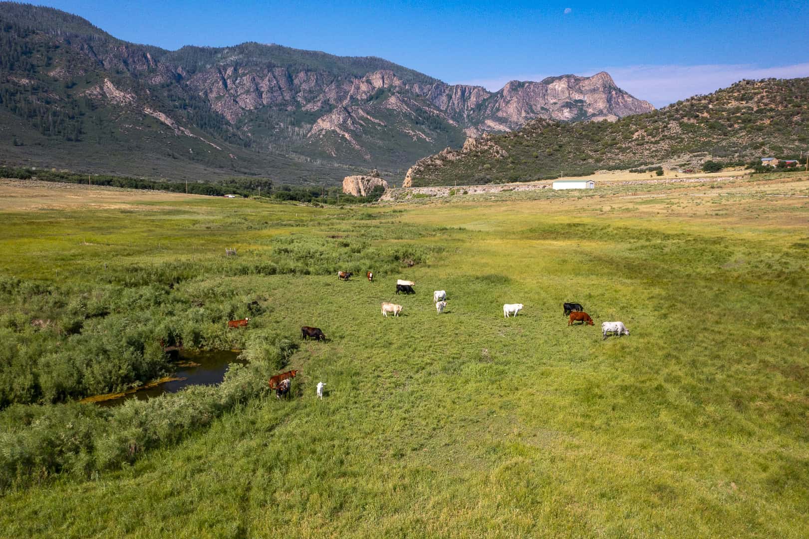 Colorado Mountain Home, Ranch and Hunting Property for sale