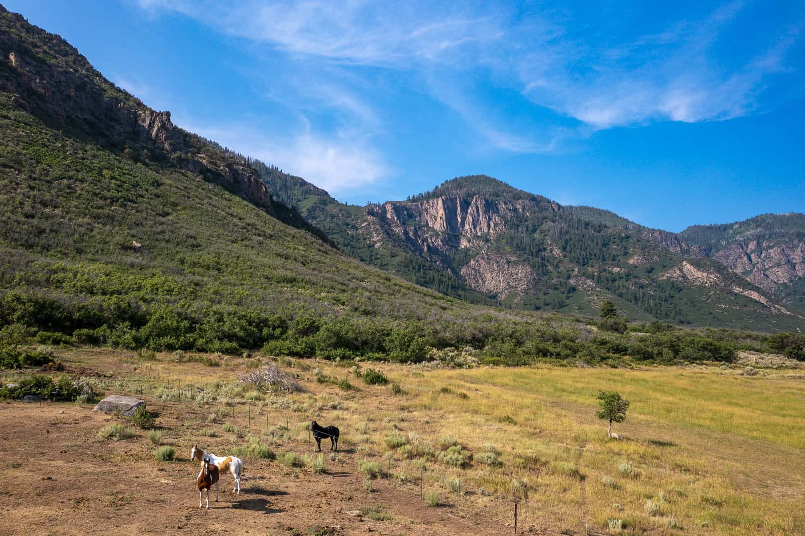 Colorado Mountain Home, Ranch and Hunting Property for sale