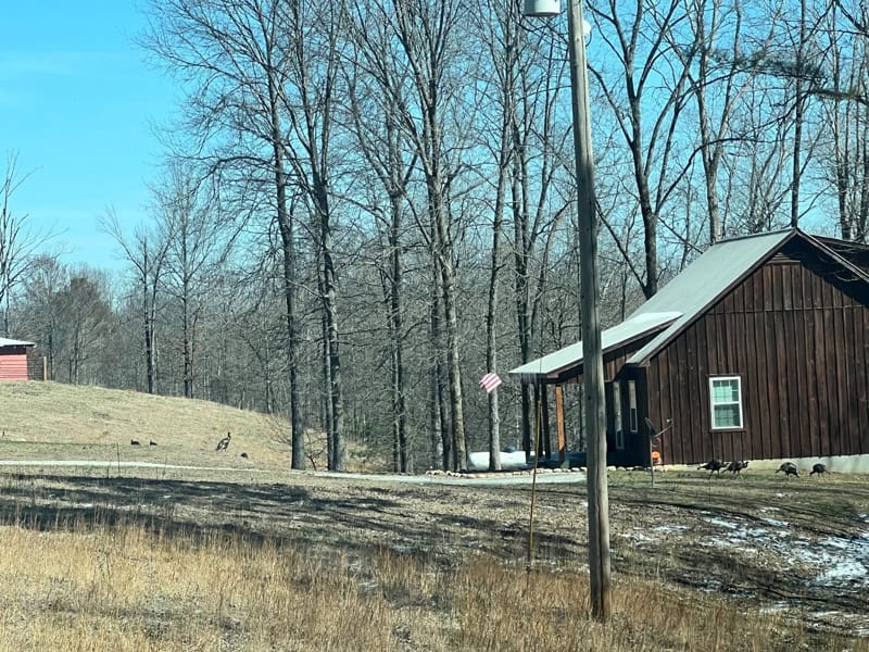 SECLUDED CABIN FOR SALE IN TENNESSEE WITH BARN & FENCING