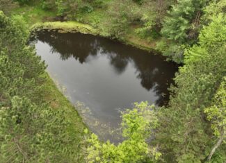 World-Class Recreational and Hunting Property for Sale in Jackson County, Wisconsin