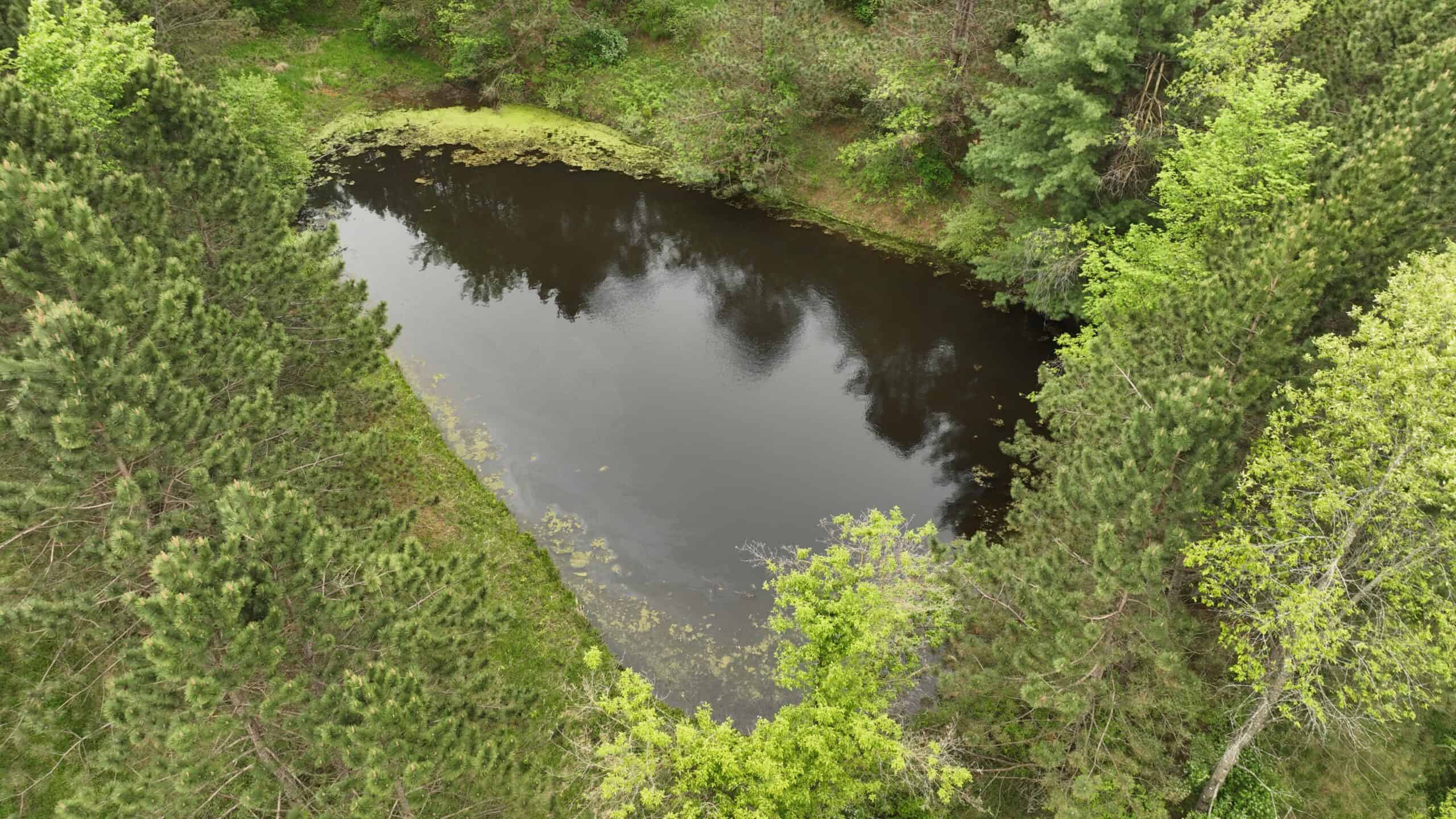 World-Class Recreational and Hunting Property for Sale in Jackson County, Wisconsin