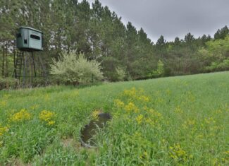 World-Class Recreational and Hunting Property for Sale in Jackson County, Wisconsin
