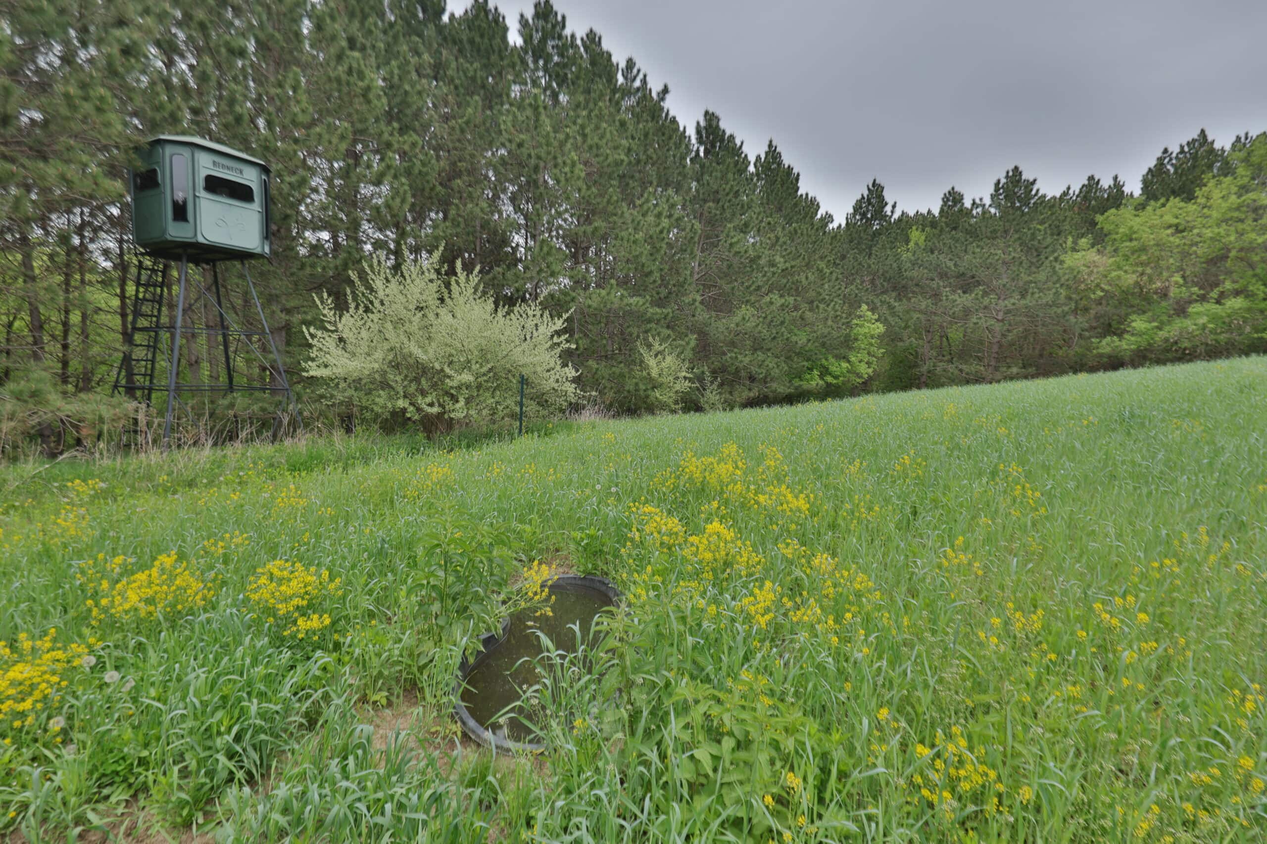 World-Class Recreational and Hunting Property for Sale in Jackson County, Wisconsin