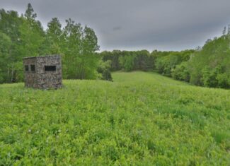 World-Class Recreational and Hunting Property for Sale in Jackson County, Wisconsin