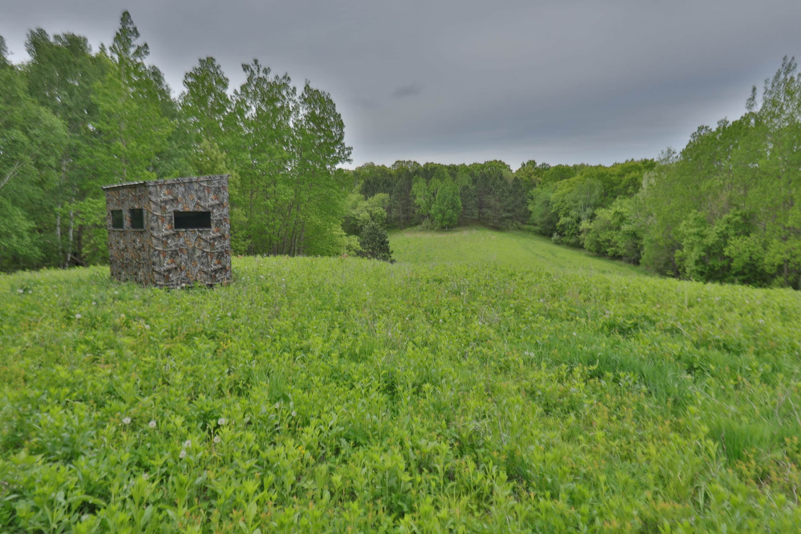 World-Class Recreational and Hunting Property for Sale in Jackson County, Wisconsin