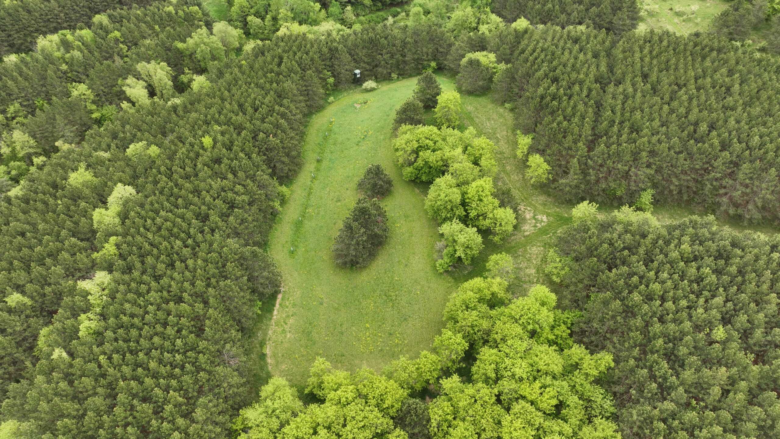World-Class Recreational and Hunting Property for Sale in Jackson County, Wisconsin