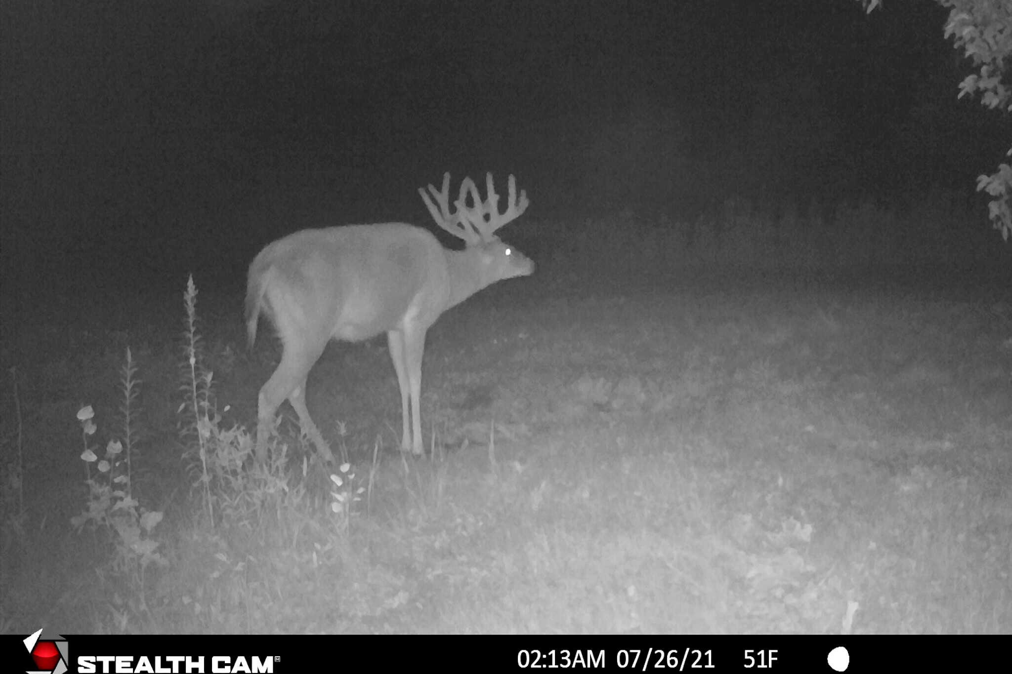 Nearly 1,000-acre Landholding for Sale in Wisconsin