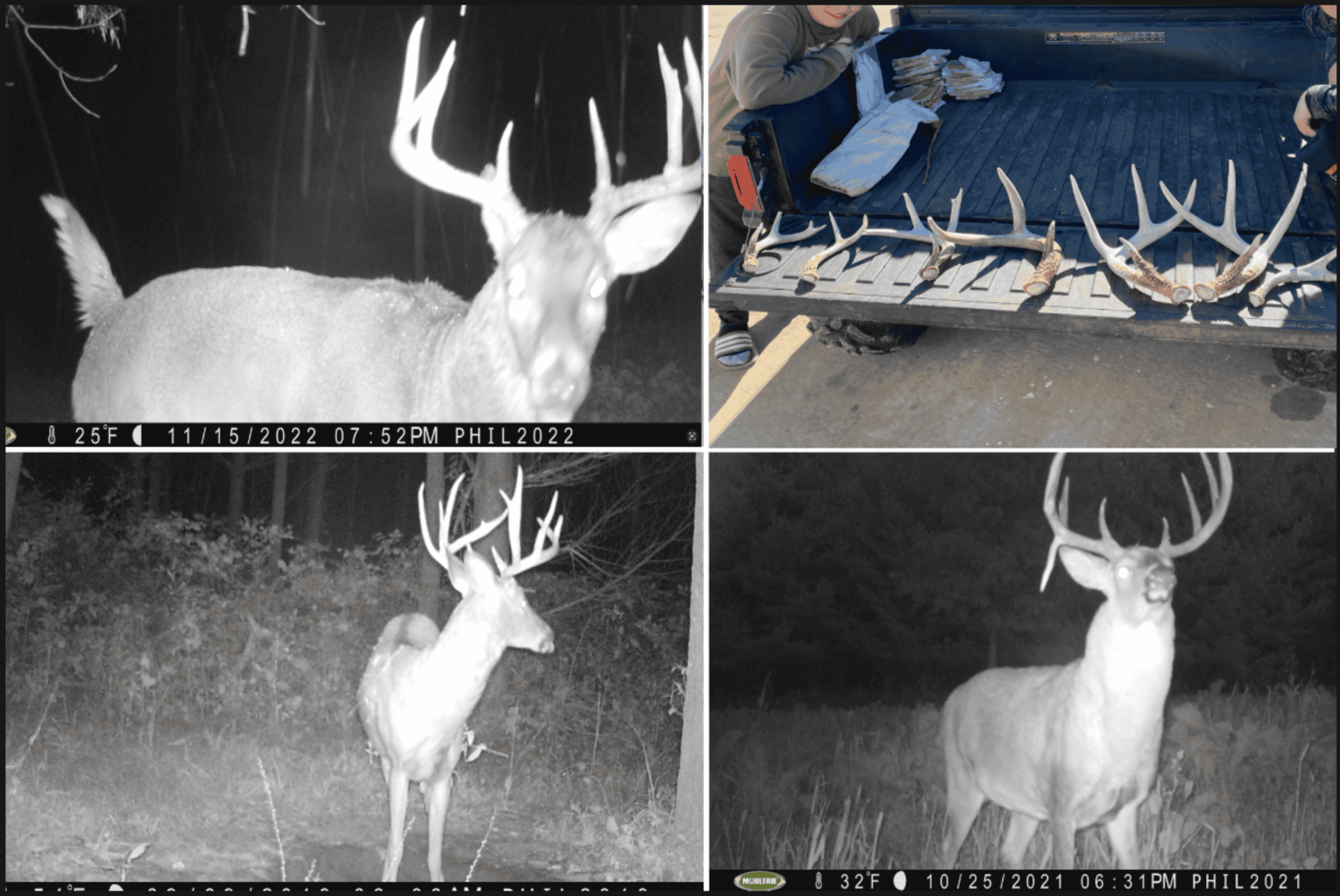 Hunting Land for Sale in Richland County, Wisconsin