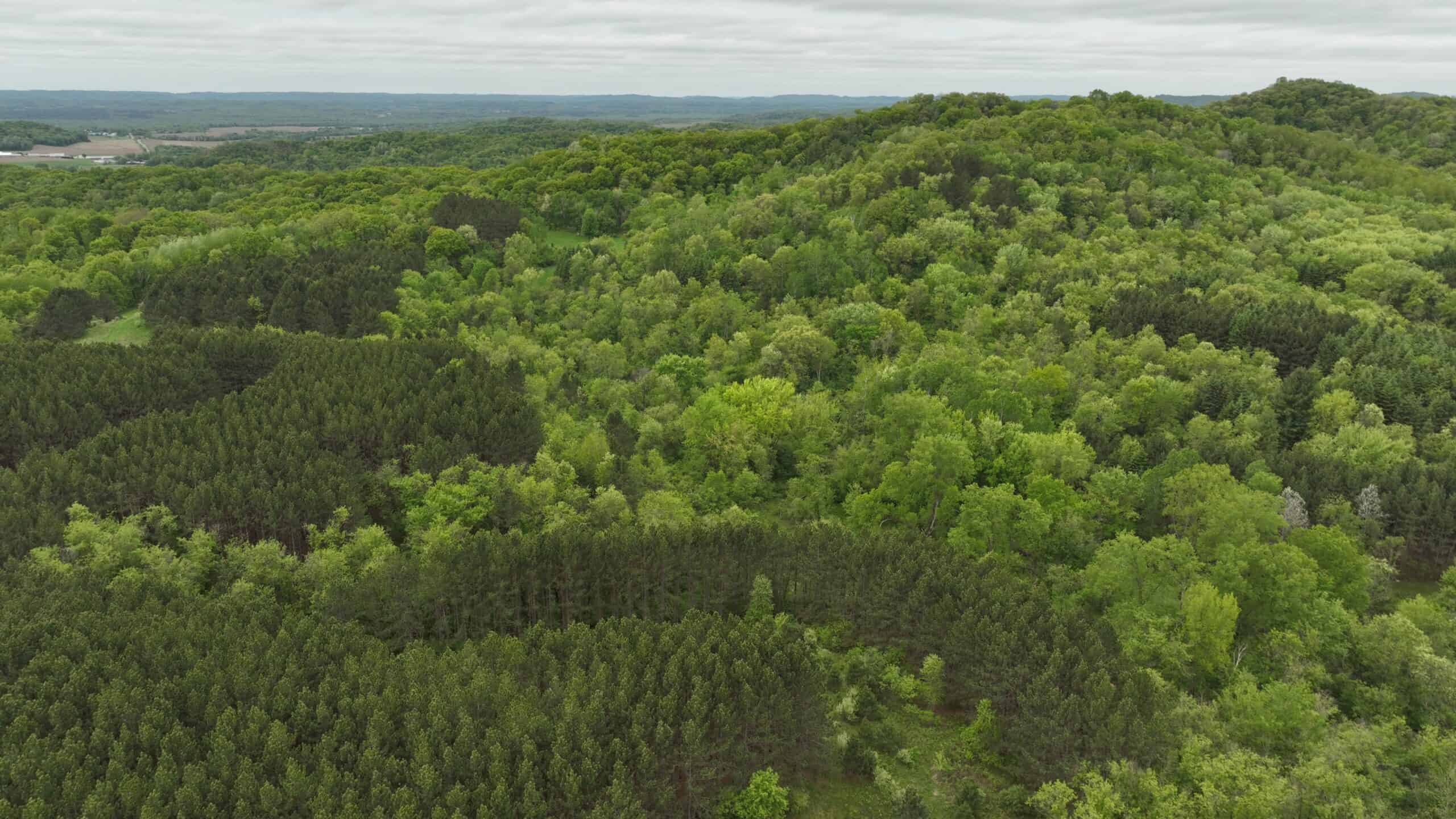 World-Class Recreational and Hunting Property for Sale in Jackson County, Wisconsin