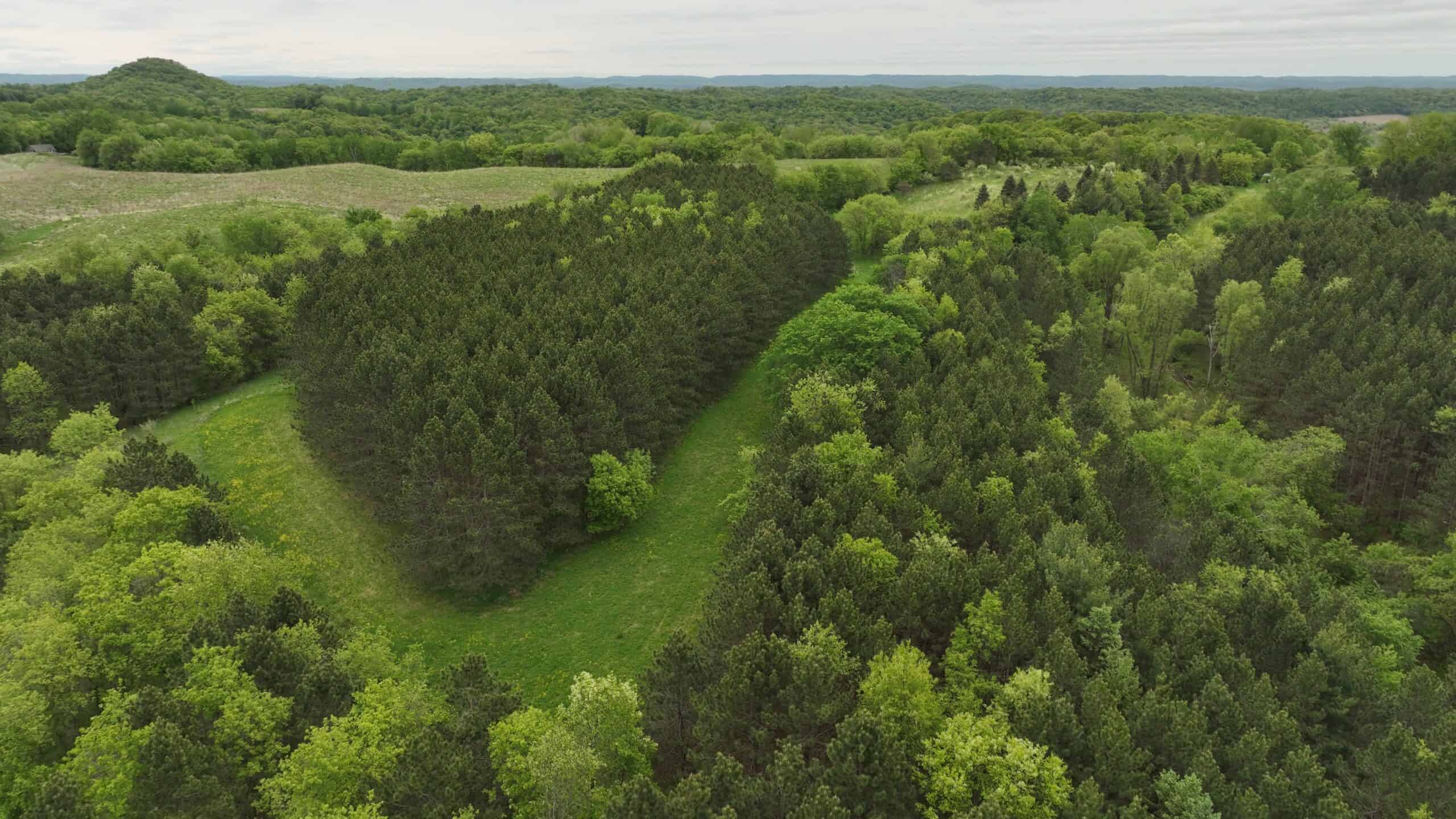 World-Class Recreational and Hunting Property for Sale in Jackson County, Wisconsin
