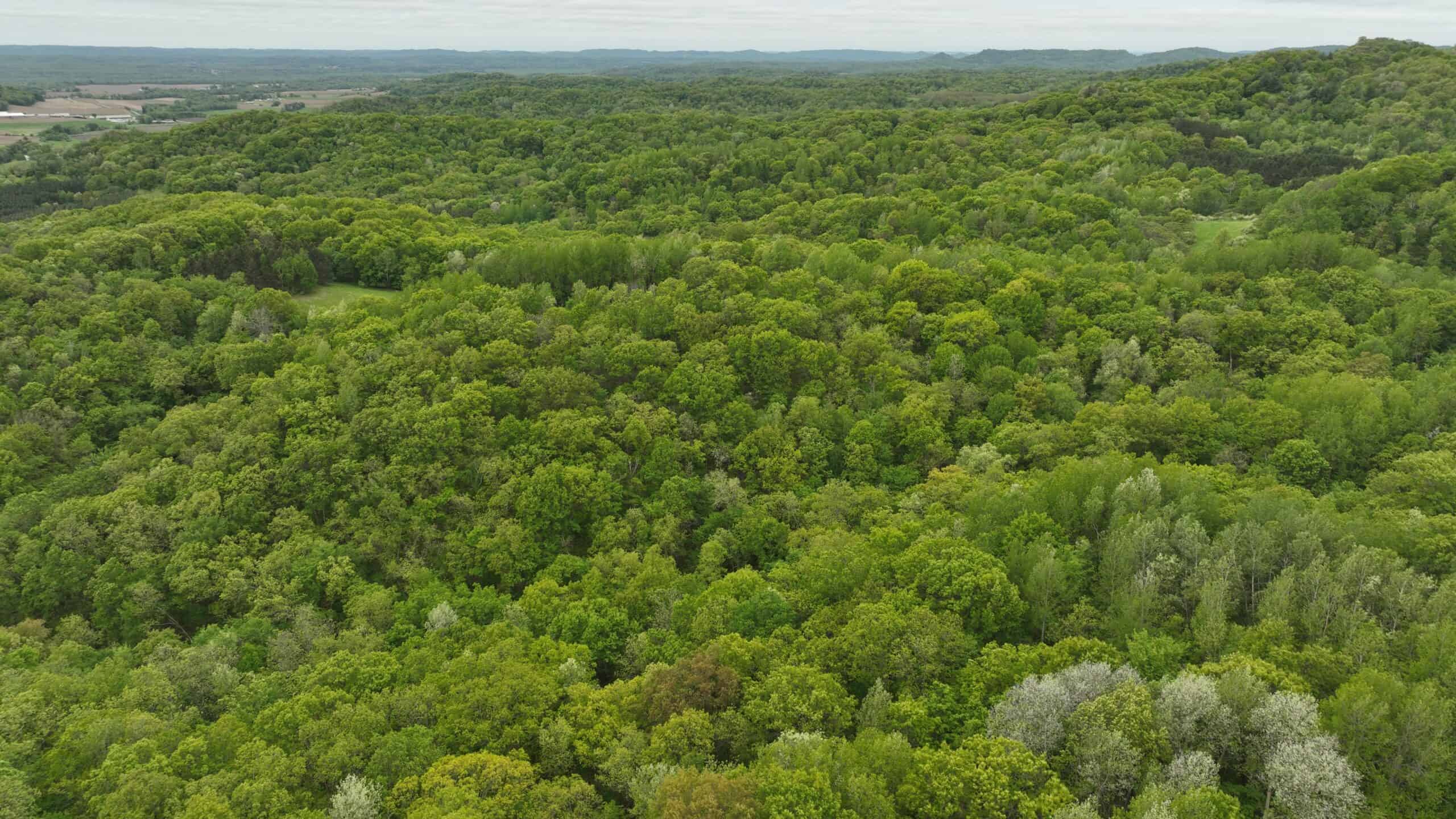 World-Class Recreational and Hunting Property for Sale in Jackson County, Wisconsin