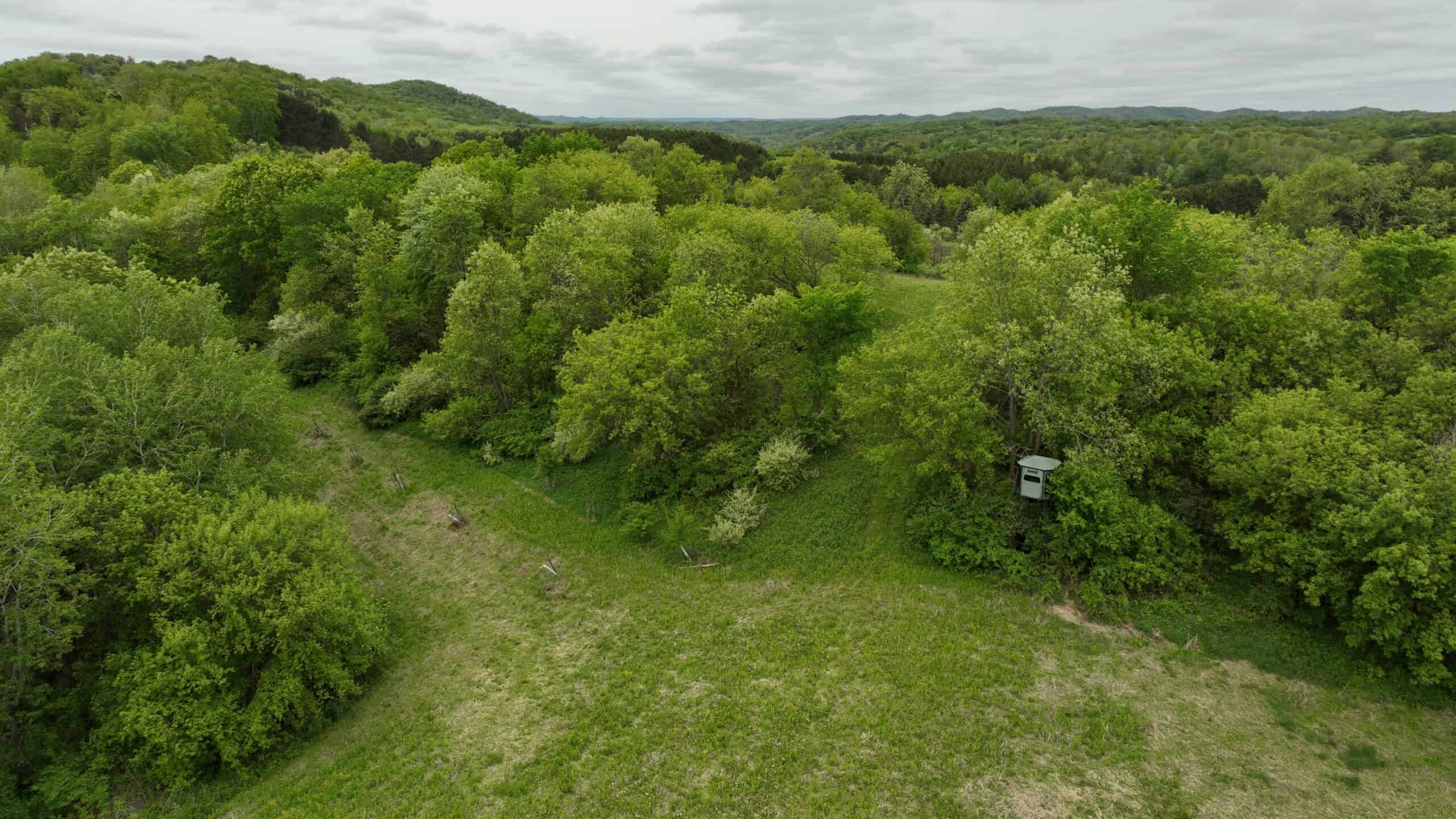 World-Class Recreational and Hunting Property for Sale in Jackson County, Wisconsin