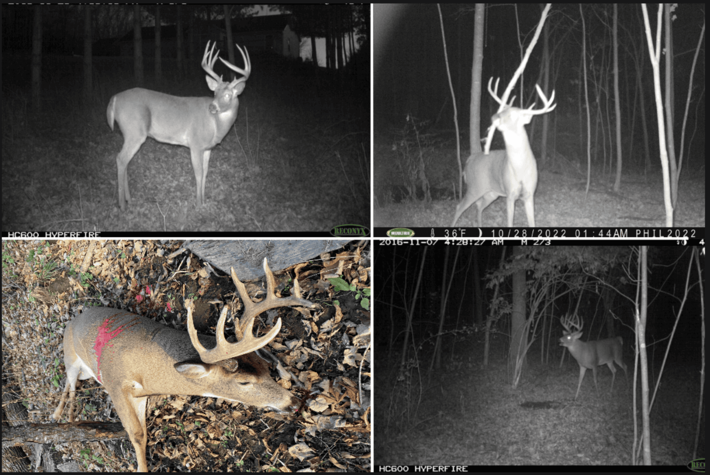 Hunting Land for Sale in Richland County, Wisconsin