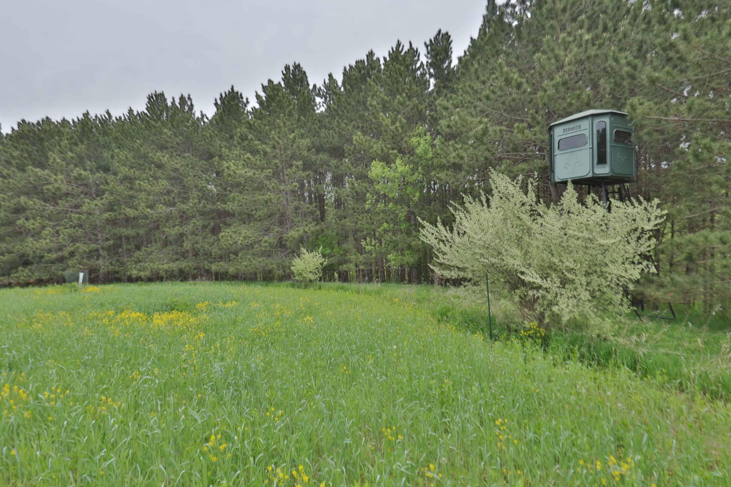 World-Class Recreational and Hunting Property for Sale in Jackson County, Wisconsin
