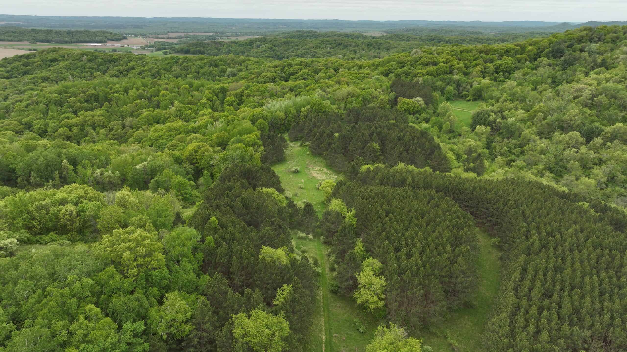 World-Class Recreational and Hunting Property for Sale in Jackson County, Wisconsin