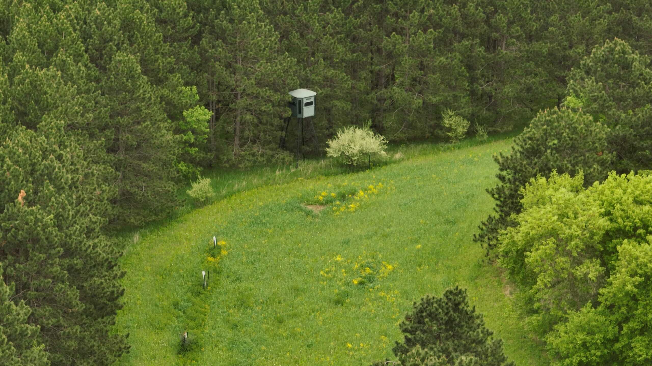 World-Class Recreational and Hunting Property for Sale in Jackson County, Wisconsin