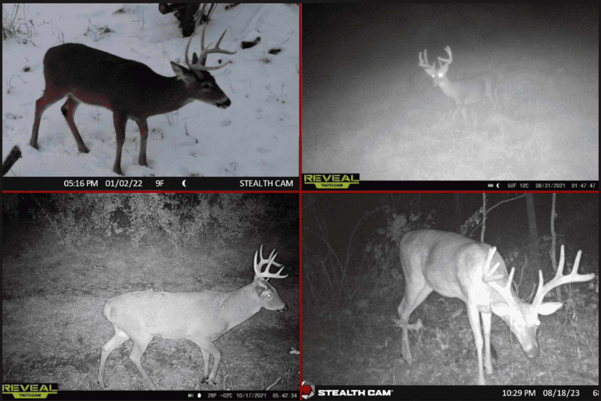 Nearly 1,000-acre Landholding for Sale in Wisconsin