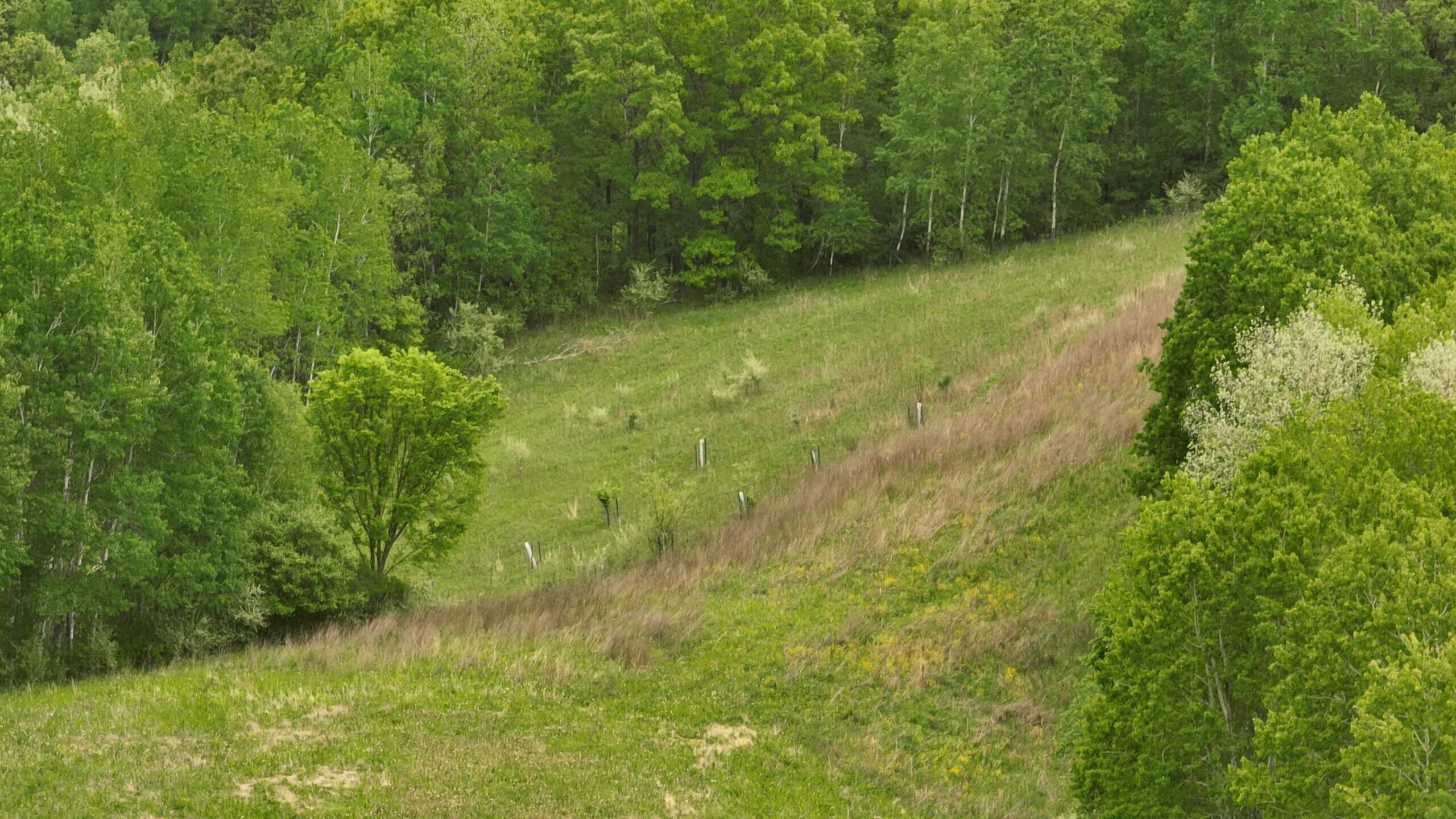 World-Class Recreational and Hunting Property for Sale in Jackson County, Wisconsin