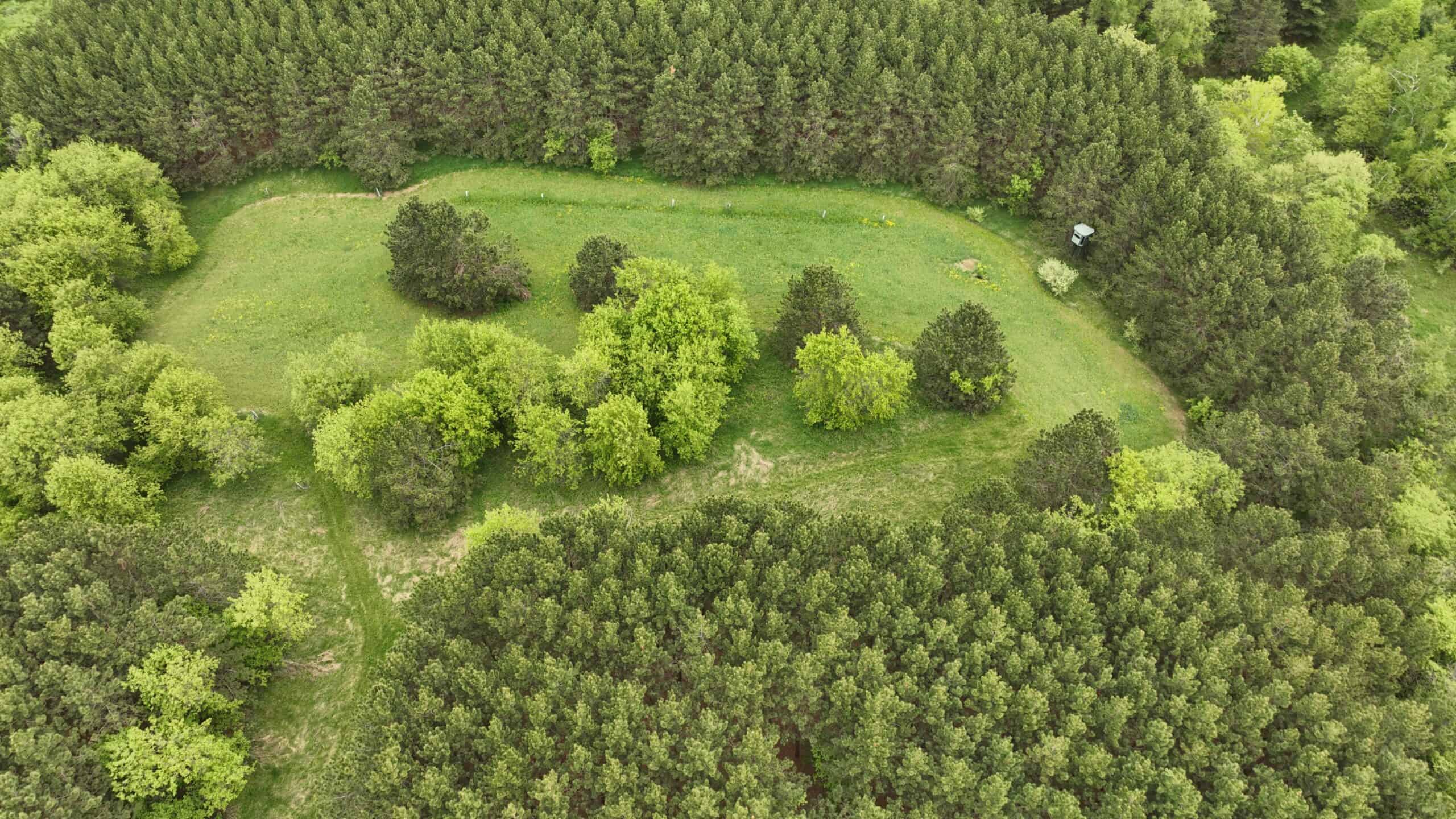 World-Class Recreational and Hunting Property for Sale in Jackson County, Wisconsin