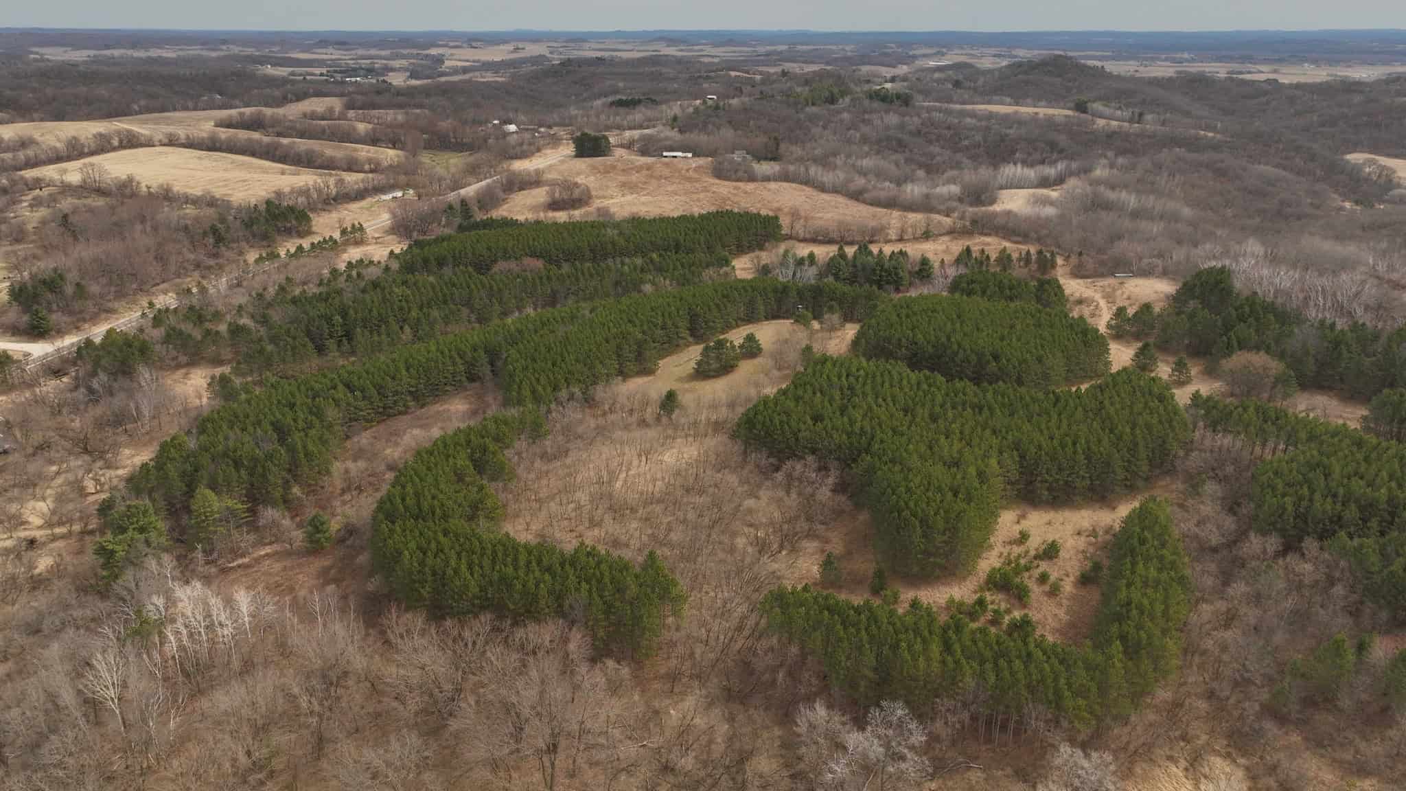 World-Class Recreational and Hunting Property for Sale in Jackson County, Wisconsin