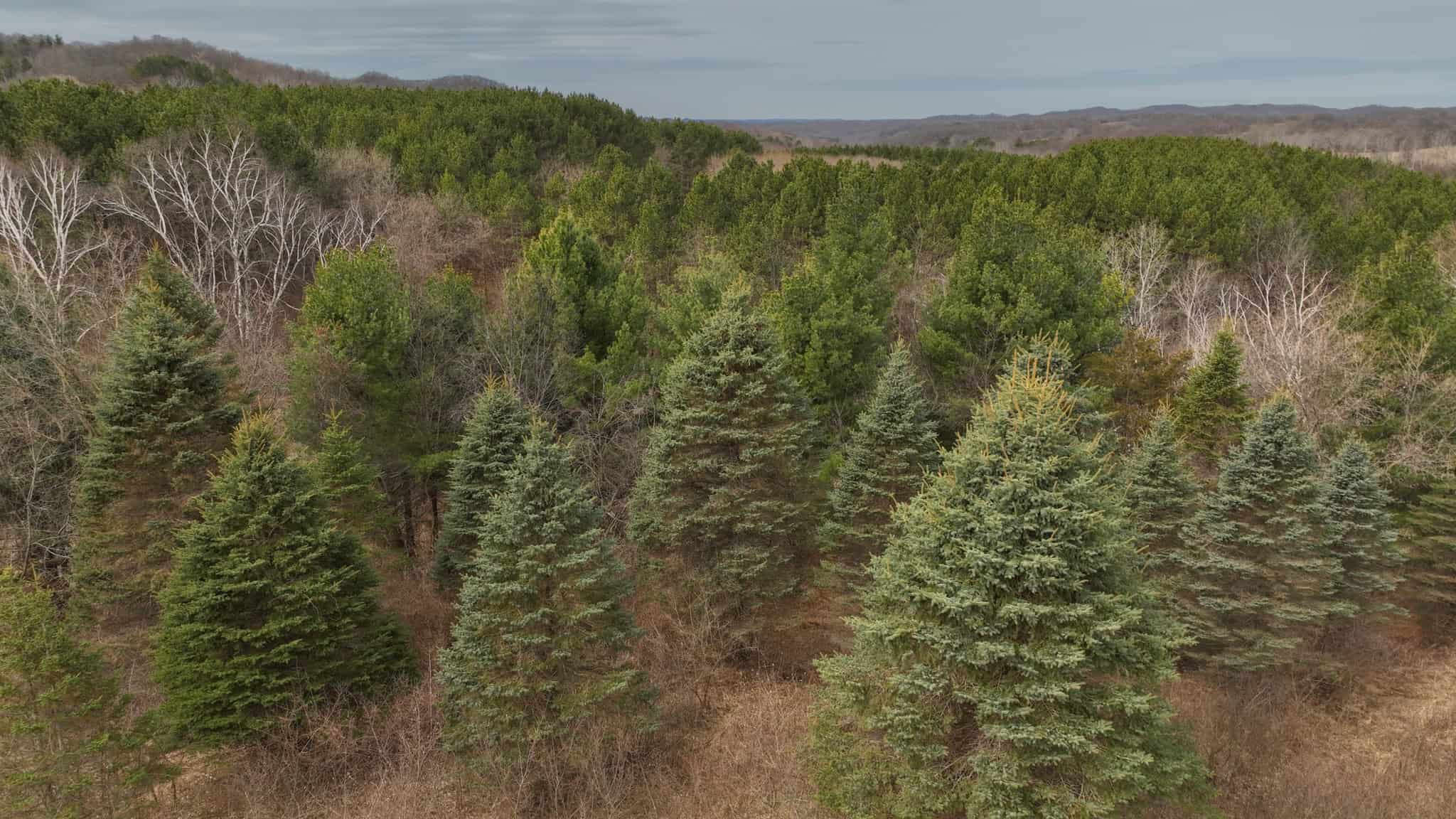 World-Class Recreational and Hunting Property for Sale in Jackson County, Wisconsin