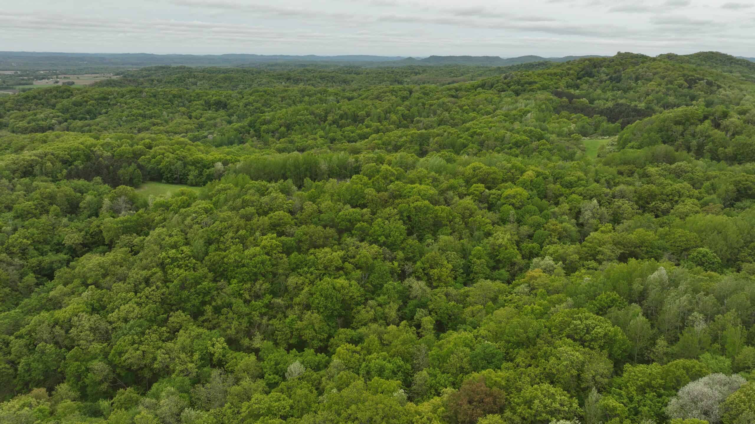 World-Class Recreational and Hunting Property for Sale in Jackson County, Wisconsin