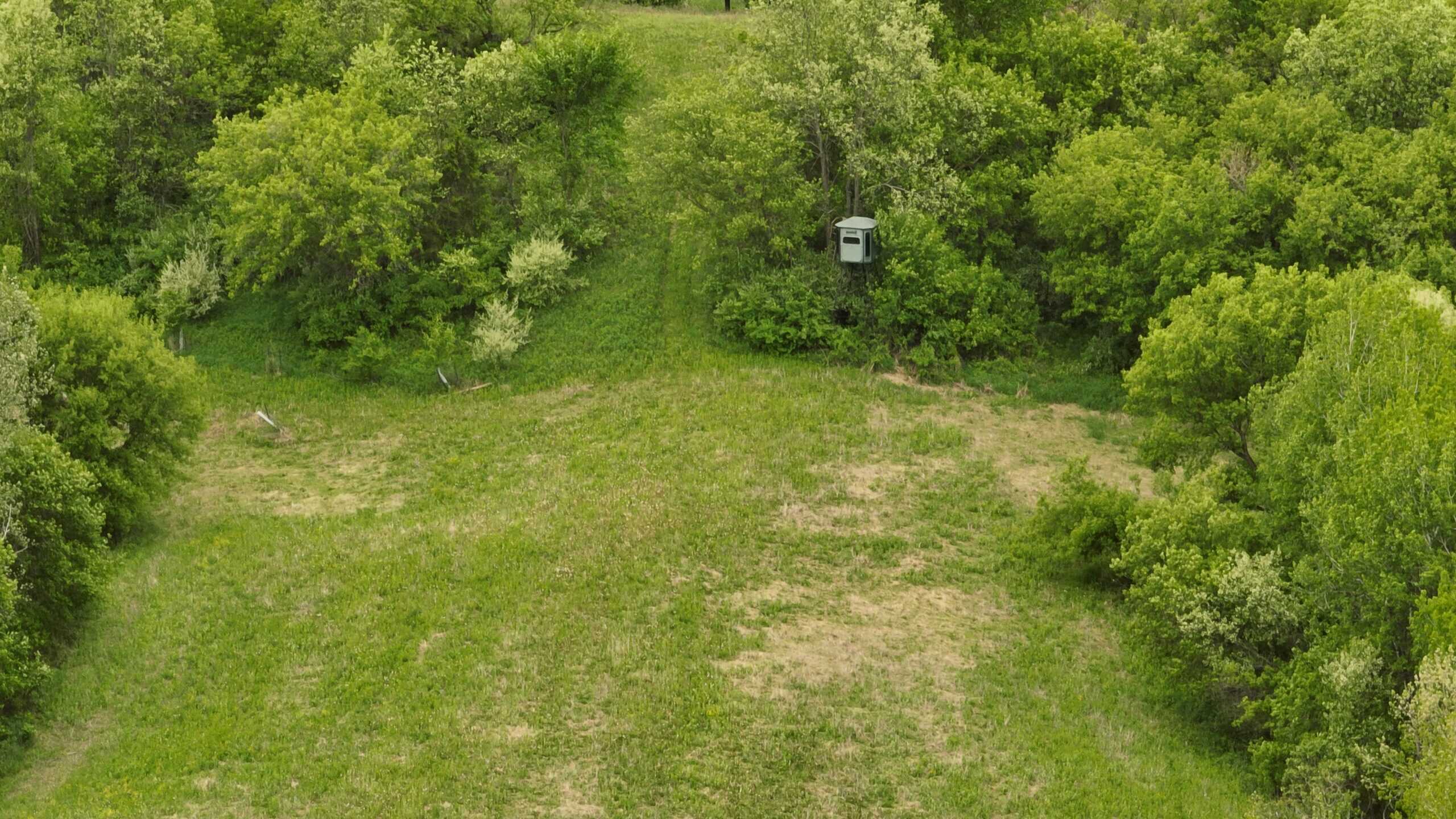 World-Class Recreational and Hunting Property for Sale in Jackson County, Wisconsin
