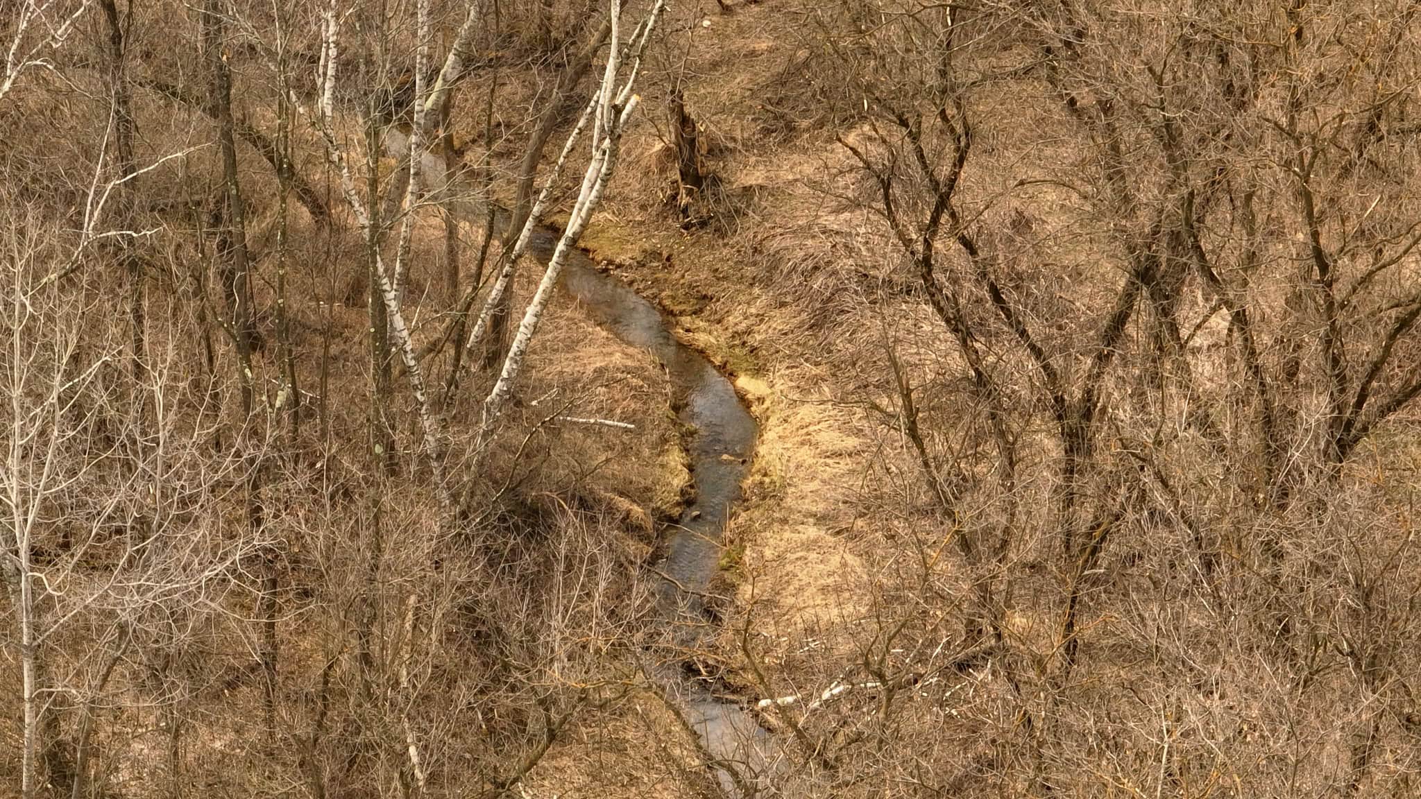 World-Class Recreational and Hunting Property for Sale in Jackson County, Wisconsin