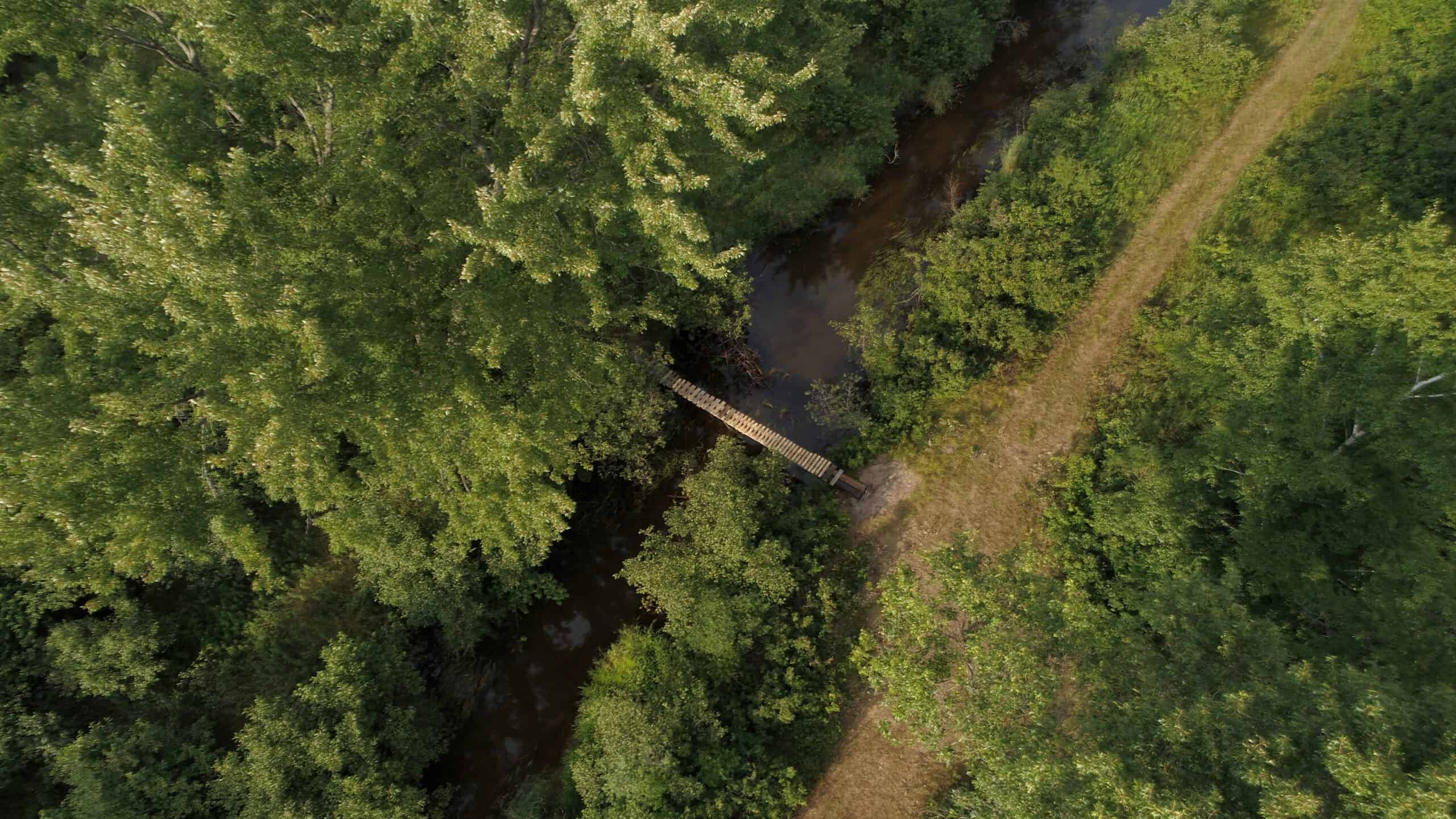 Nearly 1,000-acre Landholding for Sale in Wisconsin