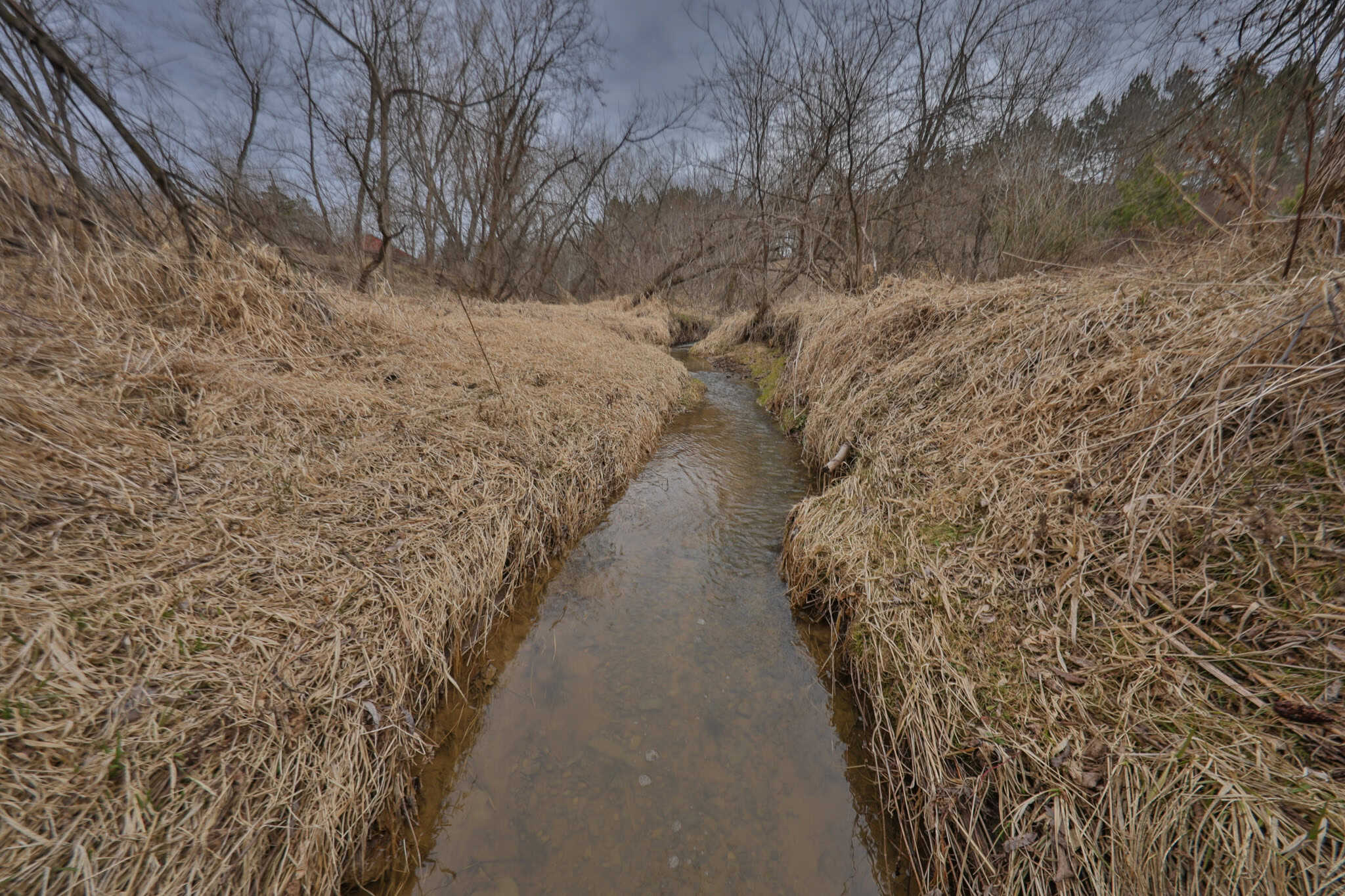 World-Class Recreational and Hunting Property for Sale in Jackson County, Wisconsin