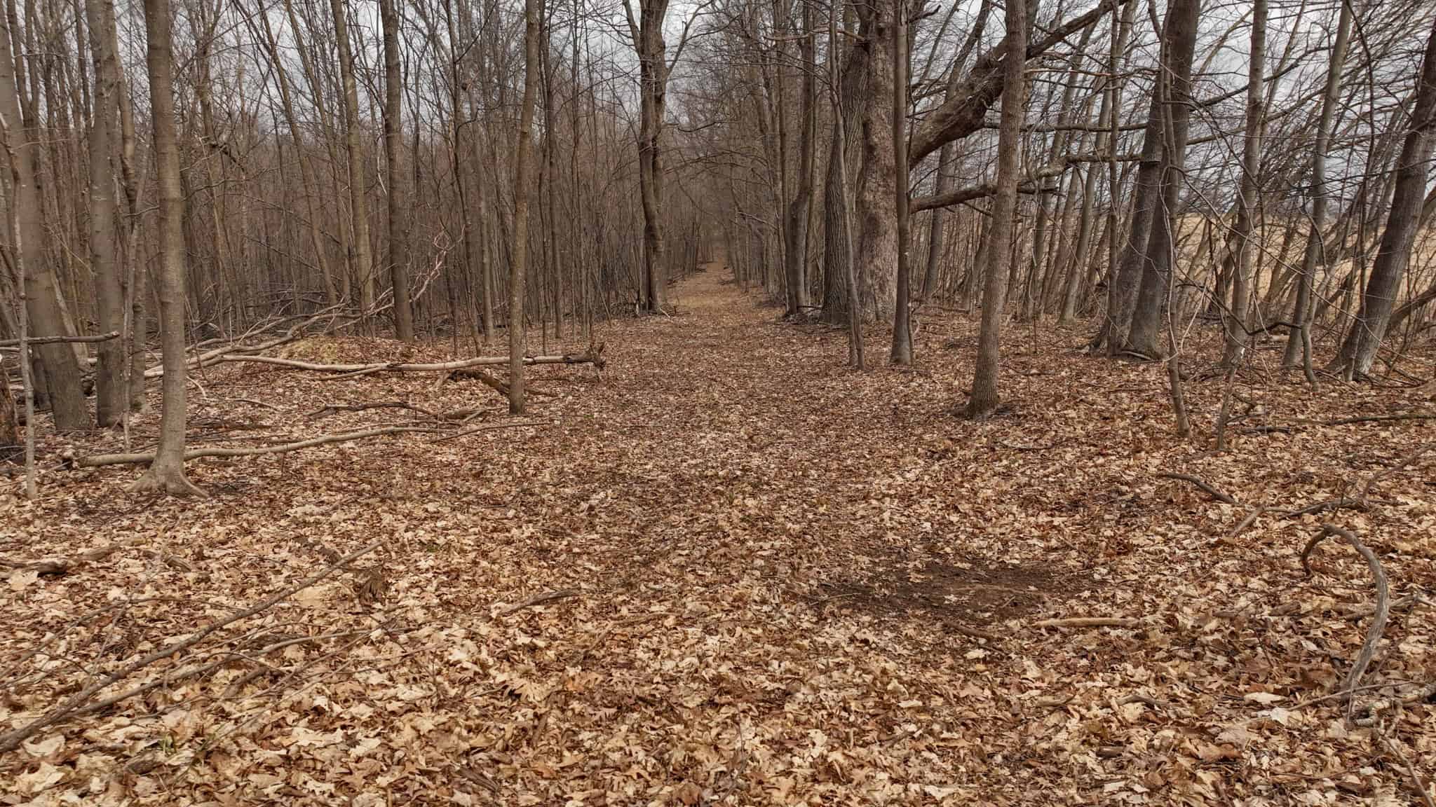 Hunting Land for Sale in Richland County, Wisconsin
