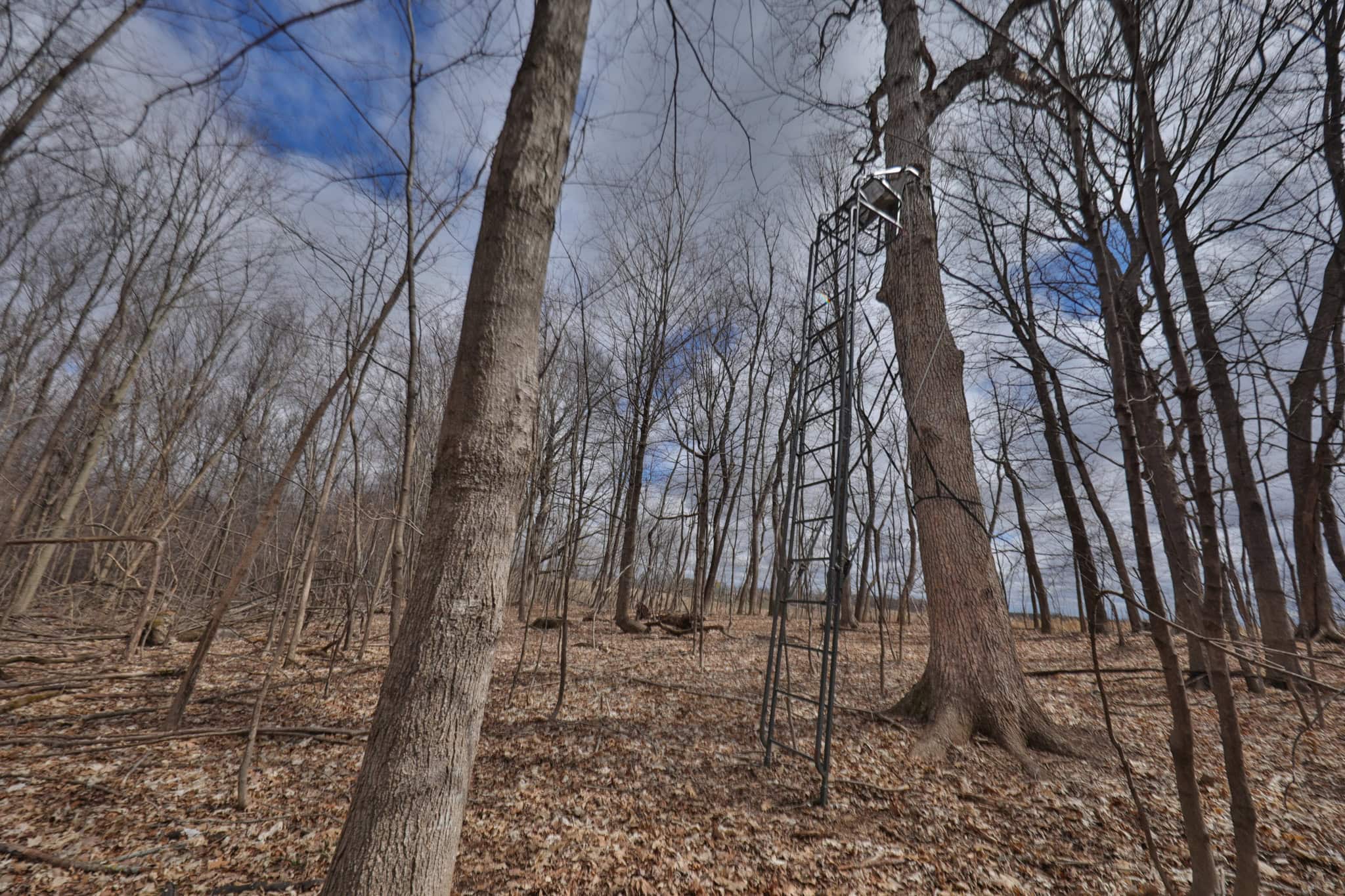 Hunting Land for Sale in Richland County, Wisconsin