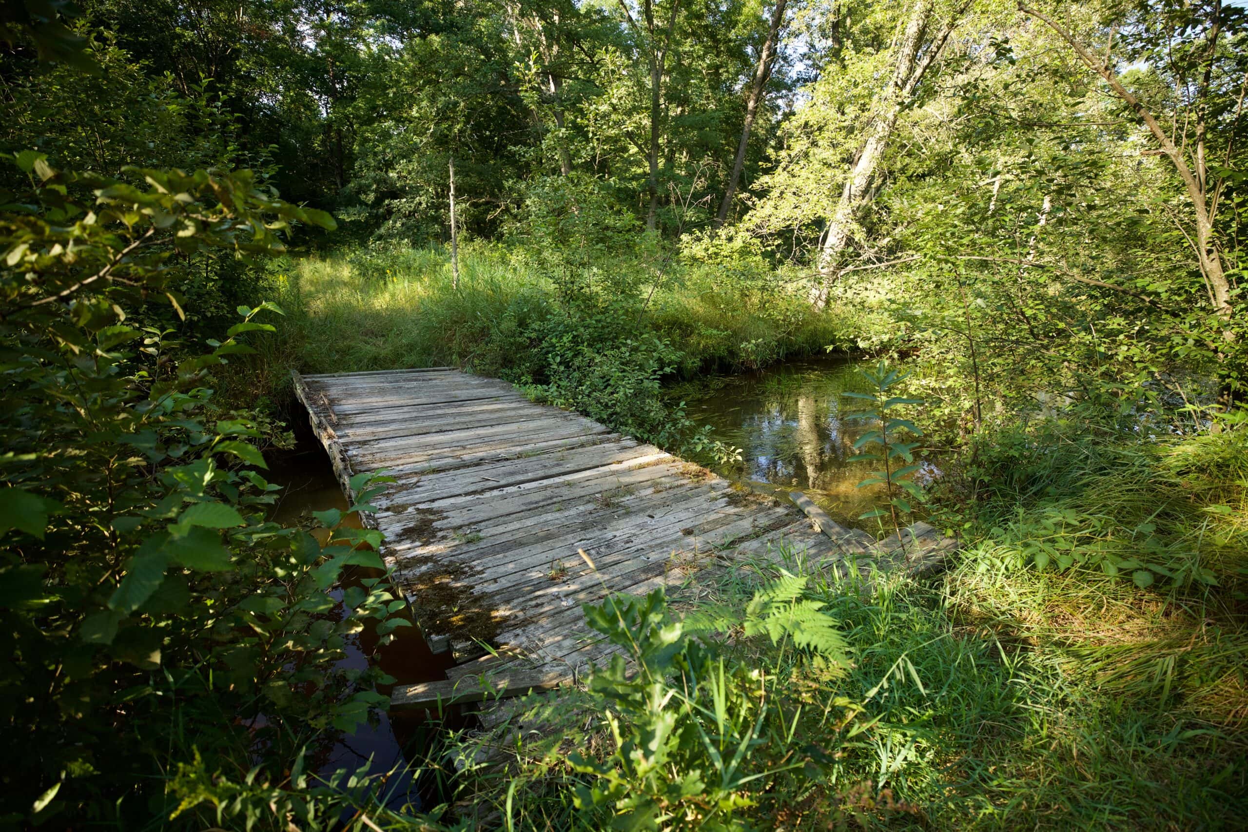 Nearly 1,000-acre Landholding for Sale in Wisconsin