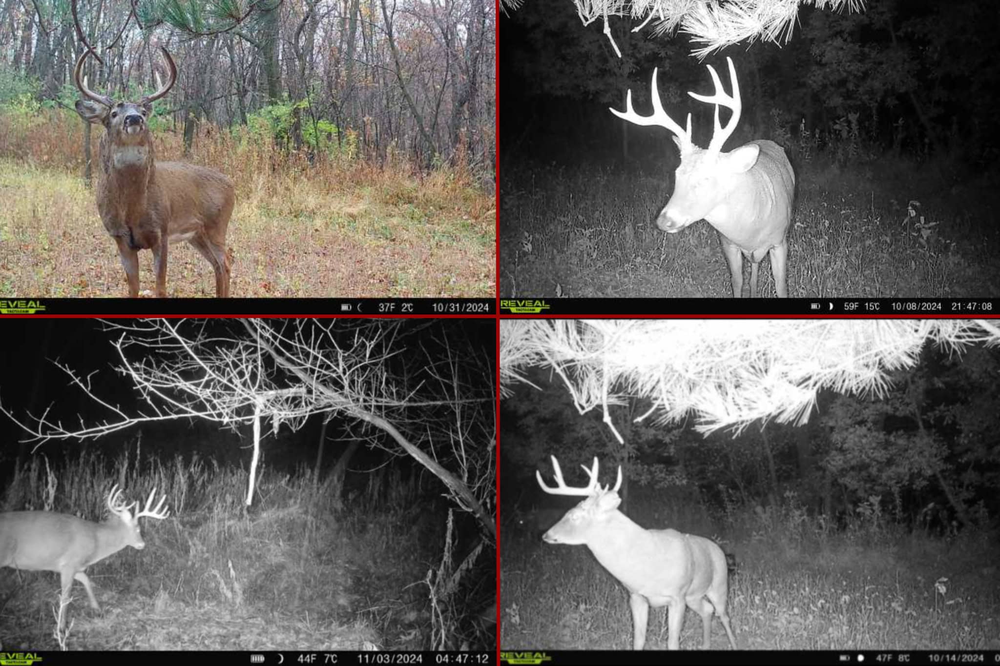 World-Class Recreational and Hunting Property for Sale in Jackson County, Wisconsin