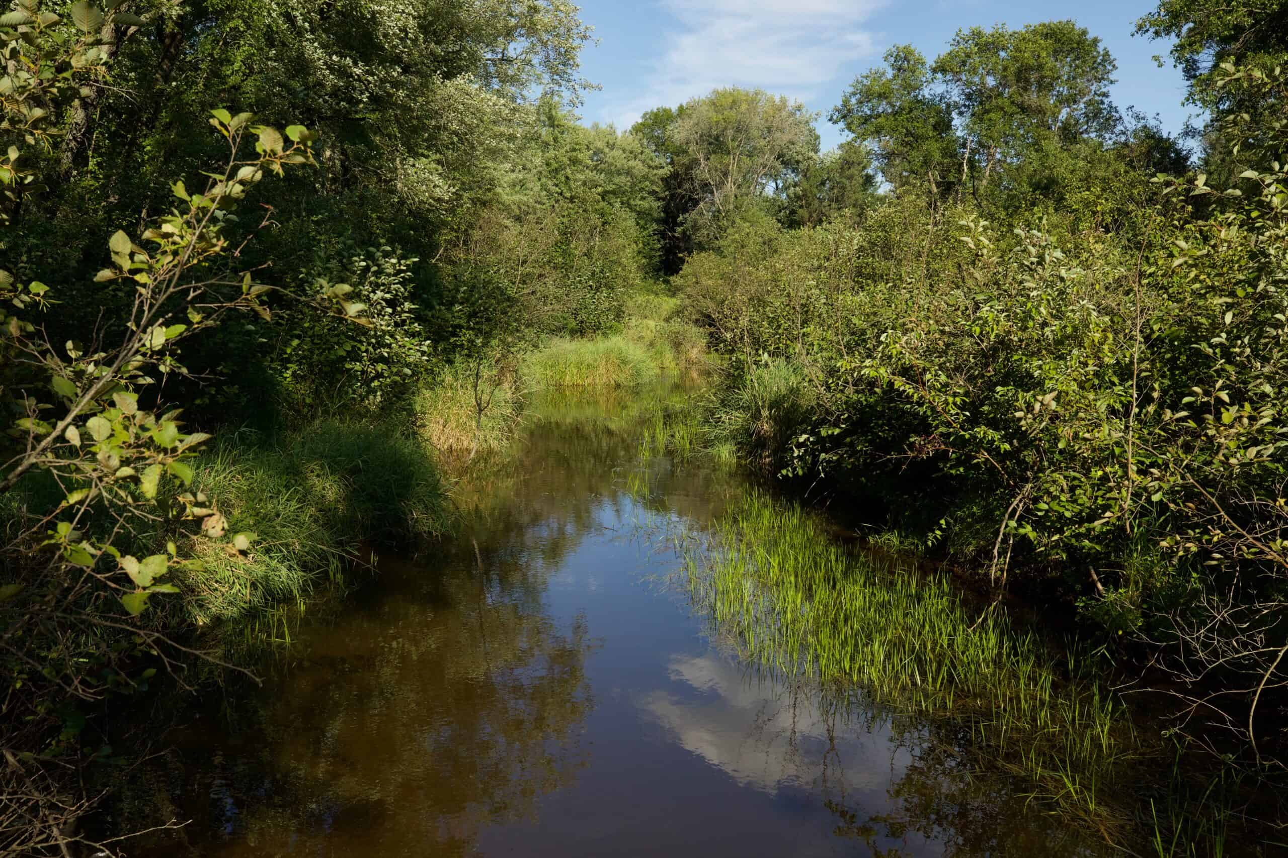 Nearly 1,000-acre Landholding for Sale in Wisconsin