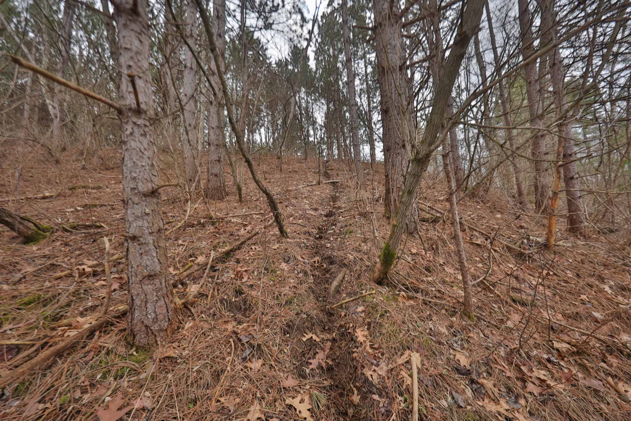 World-Class Recreational and Hunting Property for Sale in Jackson County, Wisconsin