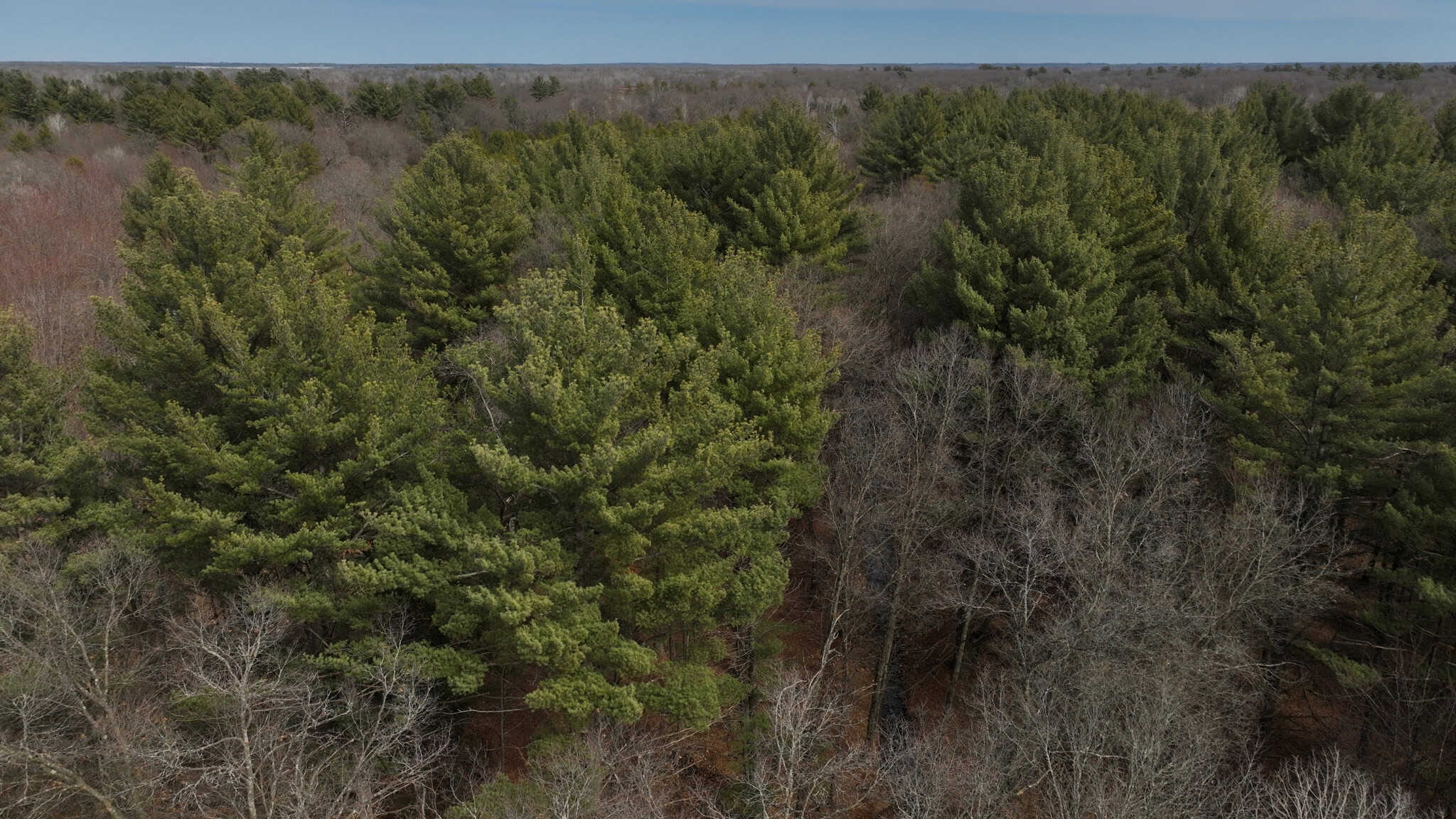 Nearly 1,000-acre Landholding for Sale in Wisconsin