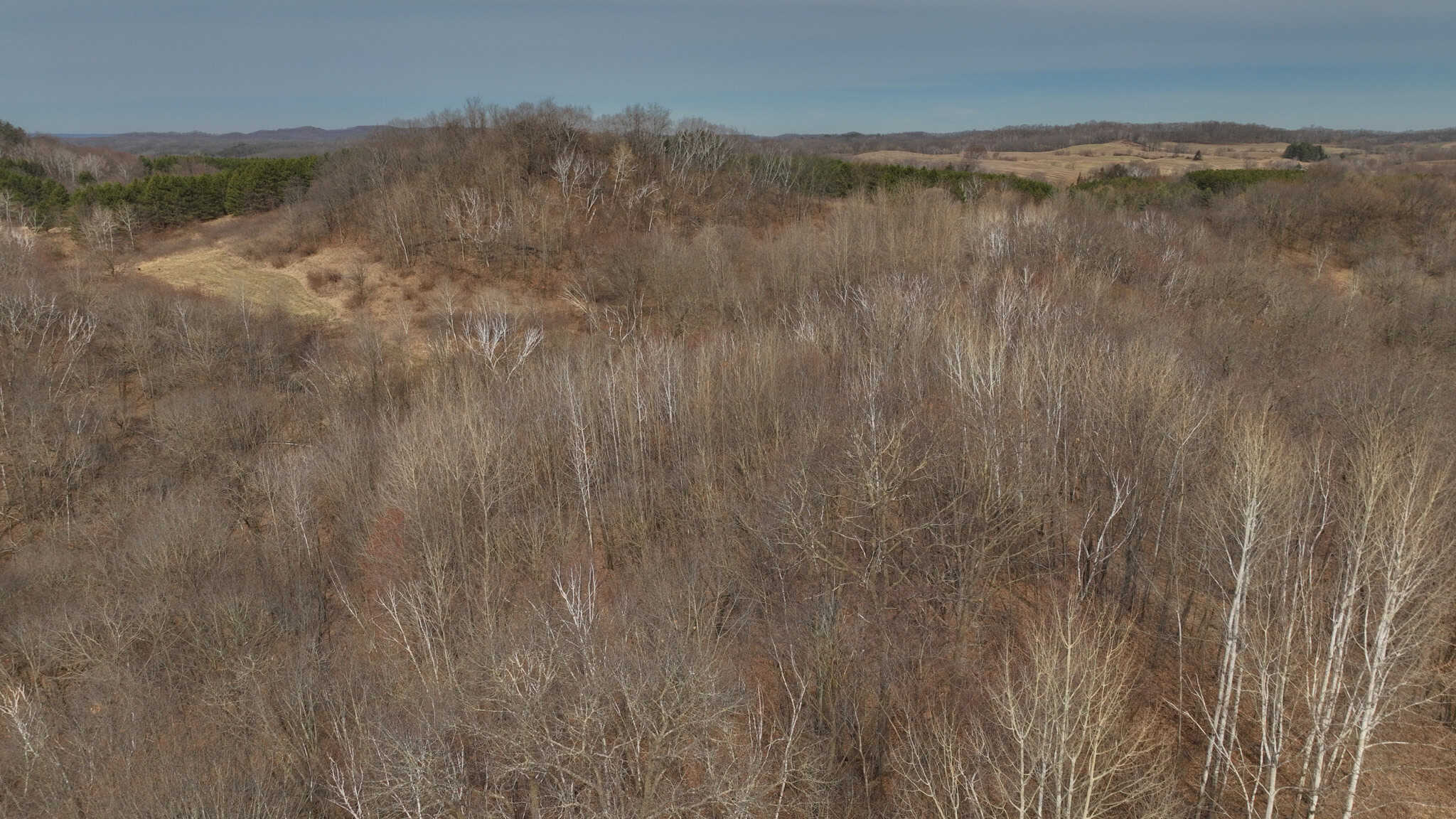 World-Class Recreational and Hunting Property for Sale in Jackson County, Wisconsin