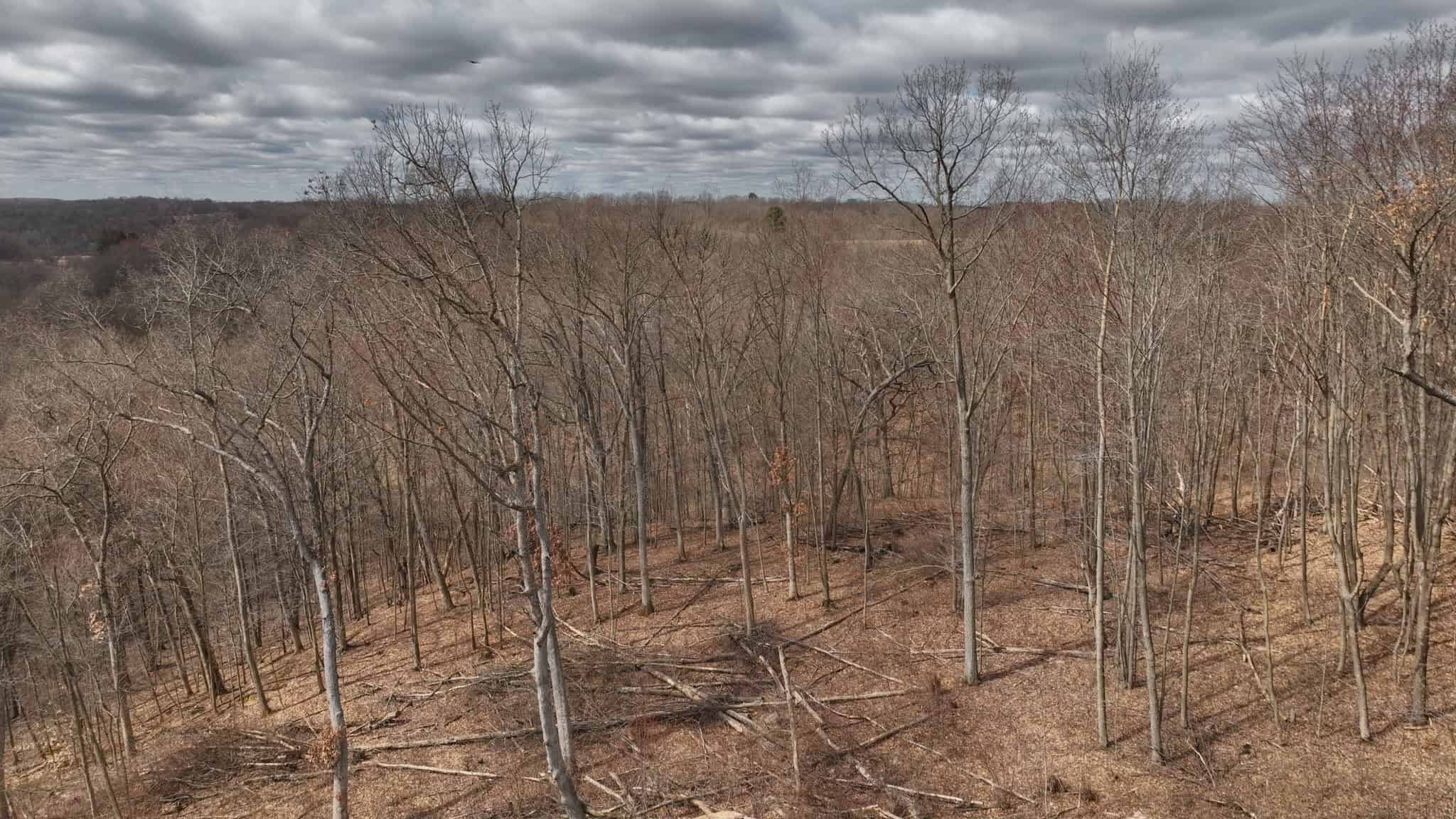 Hunting Land for Sale in Richland County, Wisconsin