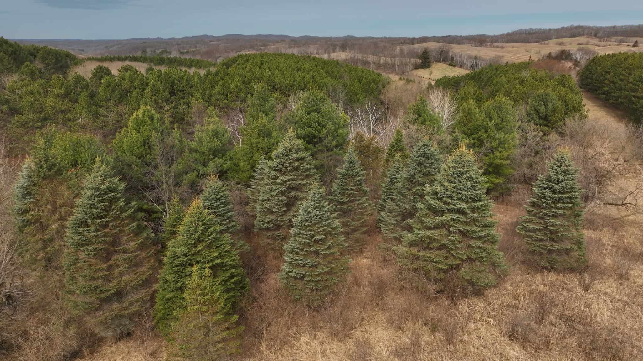 World-Class Recreational and Hunting Property for Sale in Jackson County, Wisconsin