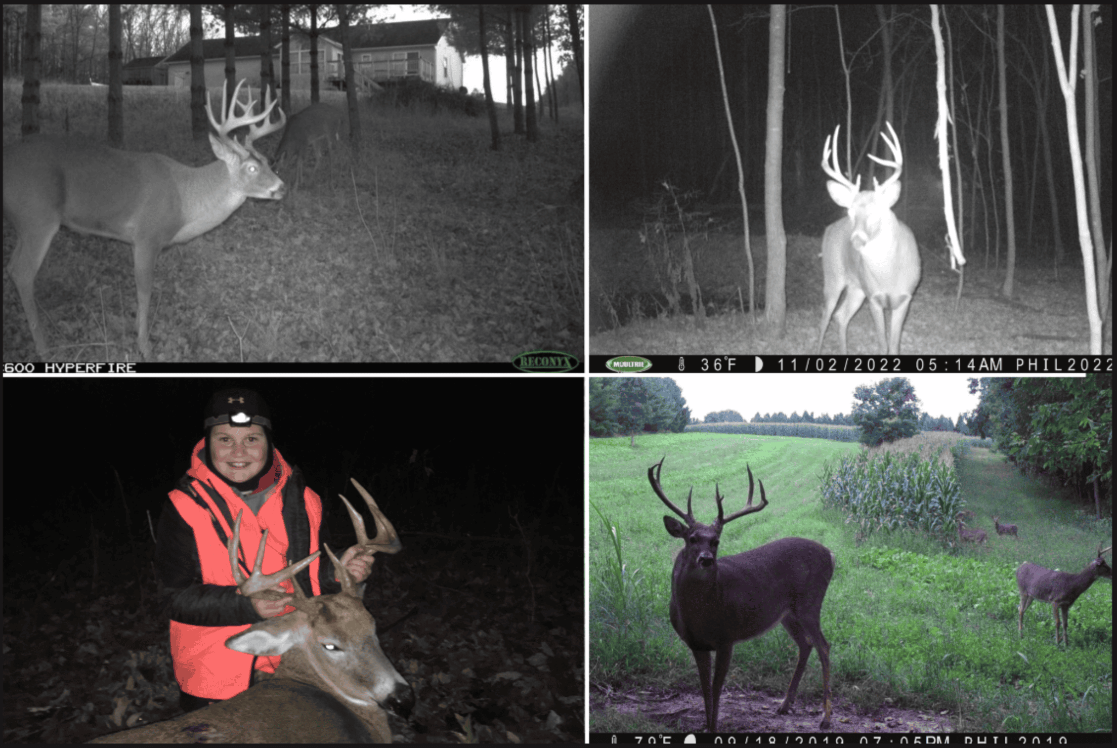 Hunting Land for Sale in Richland County, Wisconsin