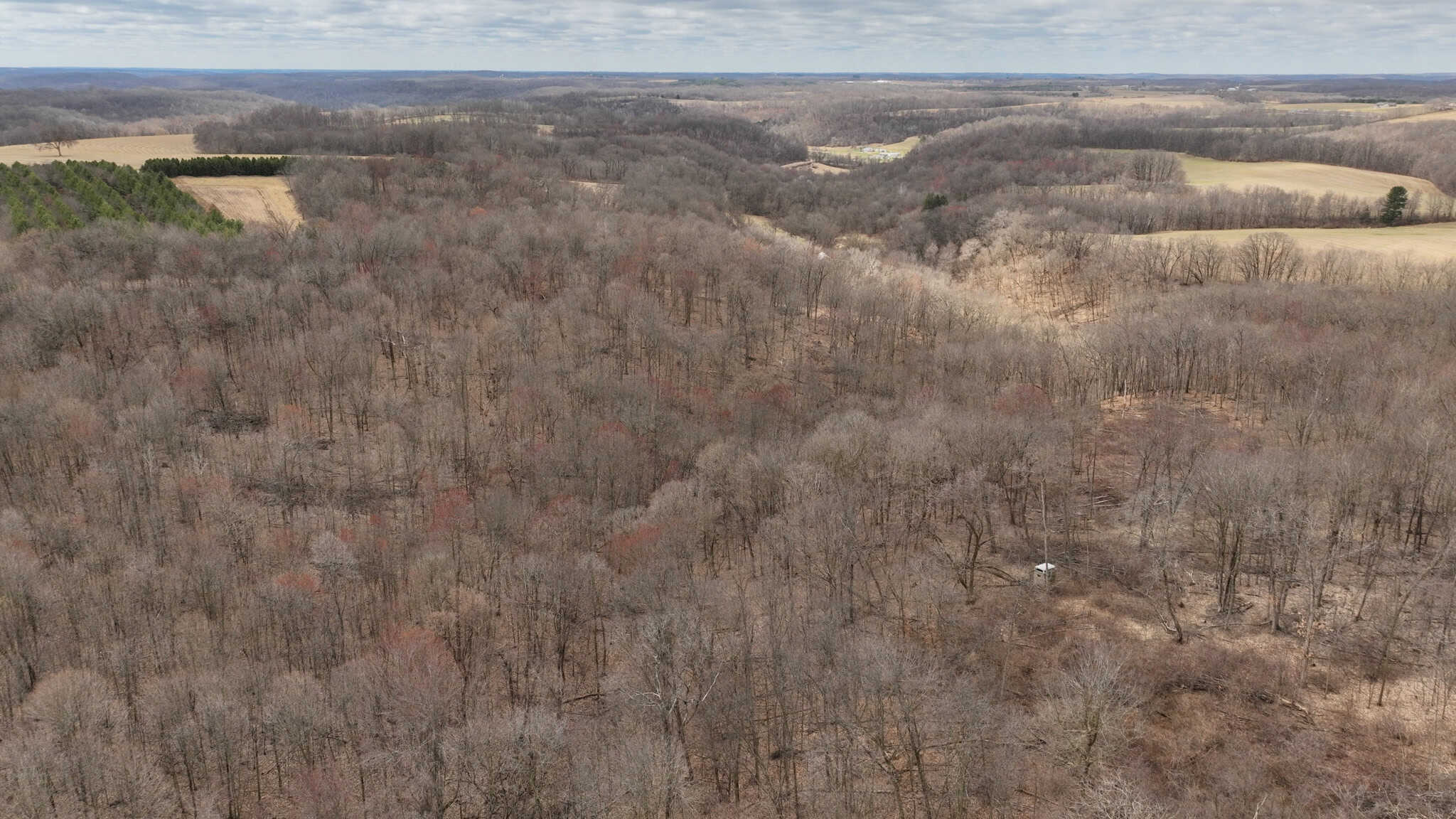 Hunting Land for Sale in Richland County, Wisconsin