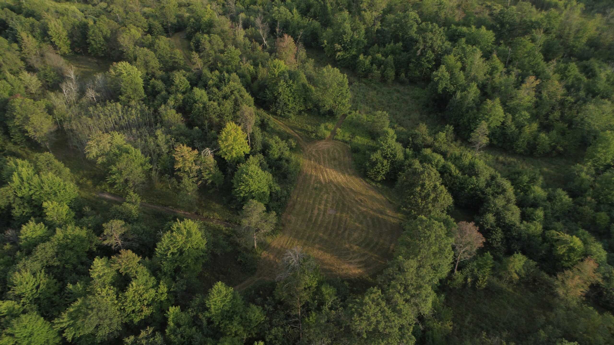 Nearly 1,000-acre Landholding for Sale in Wisconsin