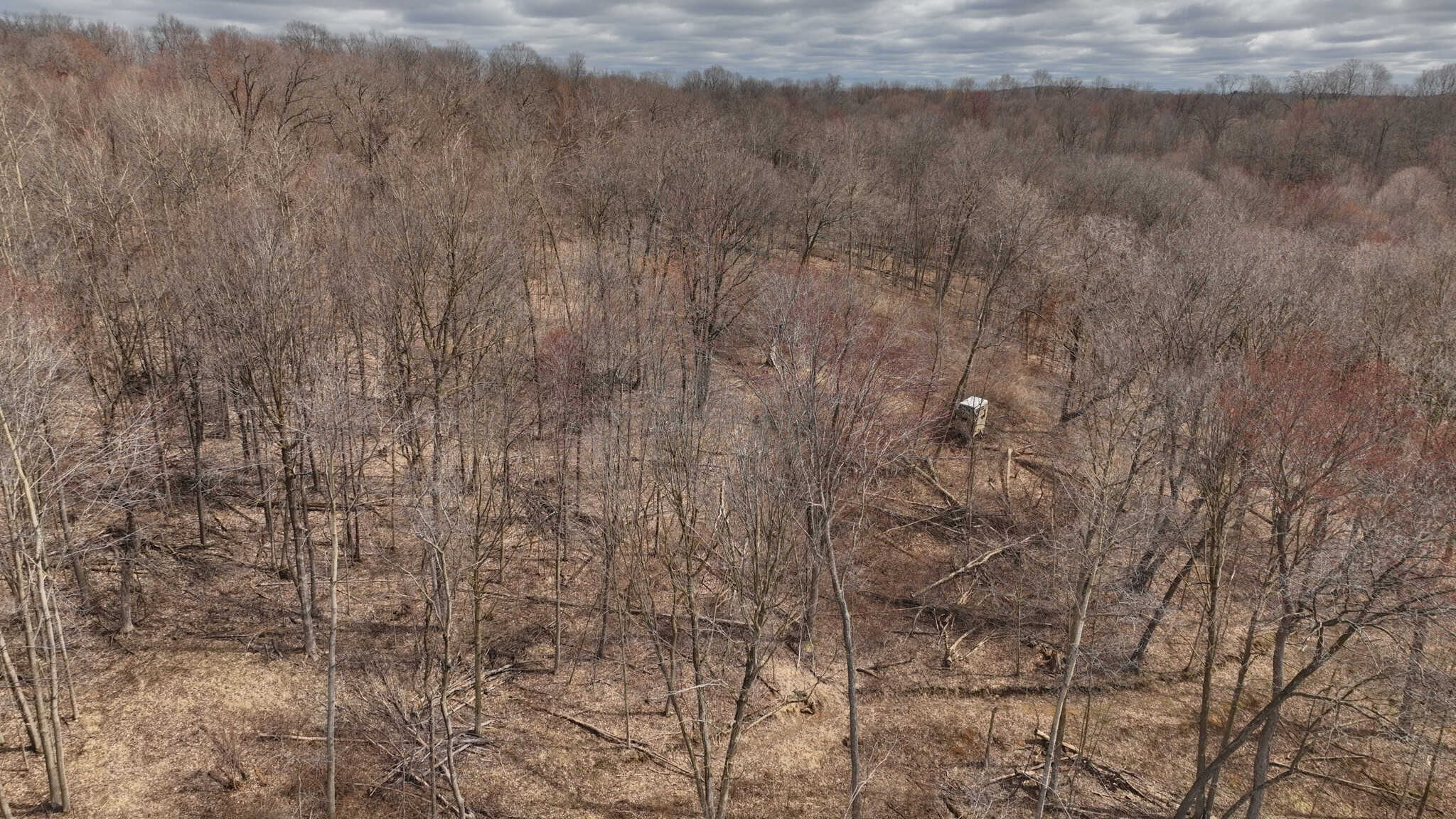 Hunting Land for Sale in Richland County, Wisconsin