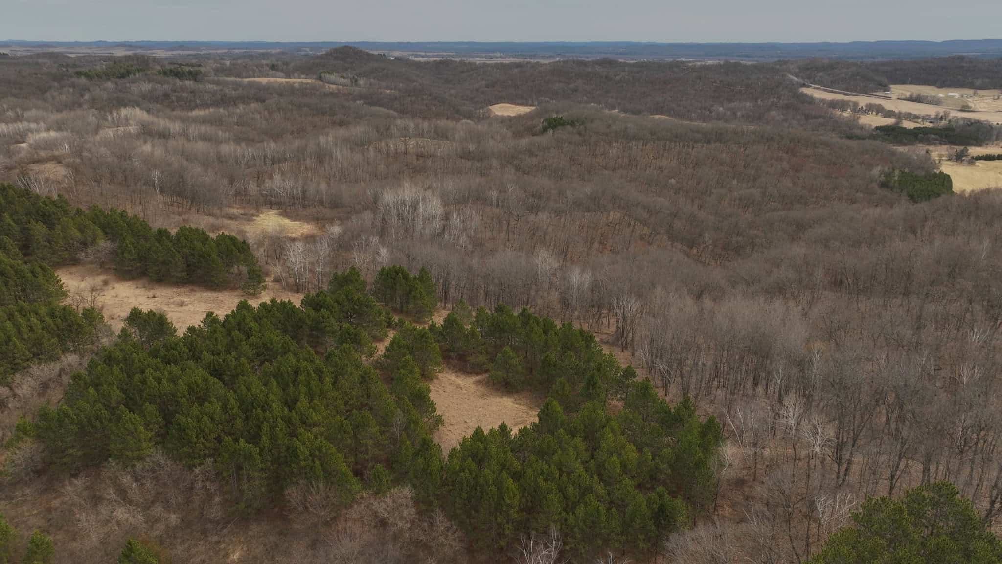 World-Class Recreational and Hunting Property for Sale in Jackson County, Wisconsin