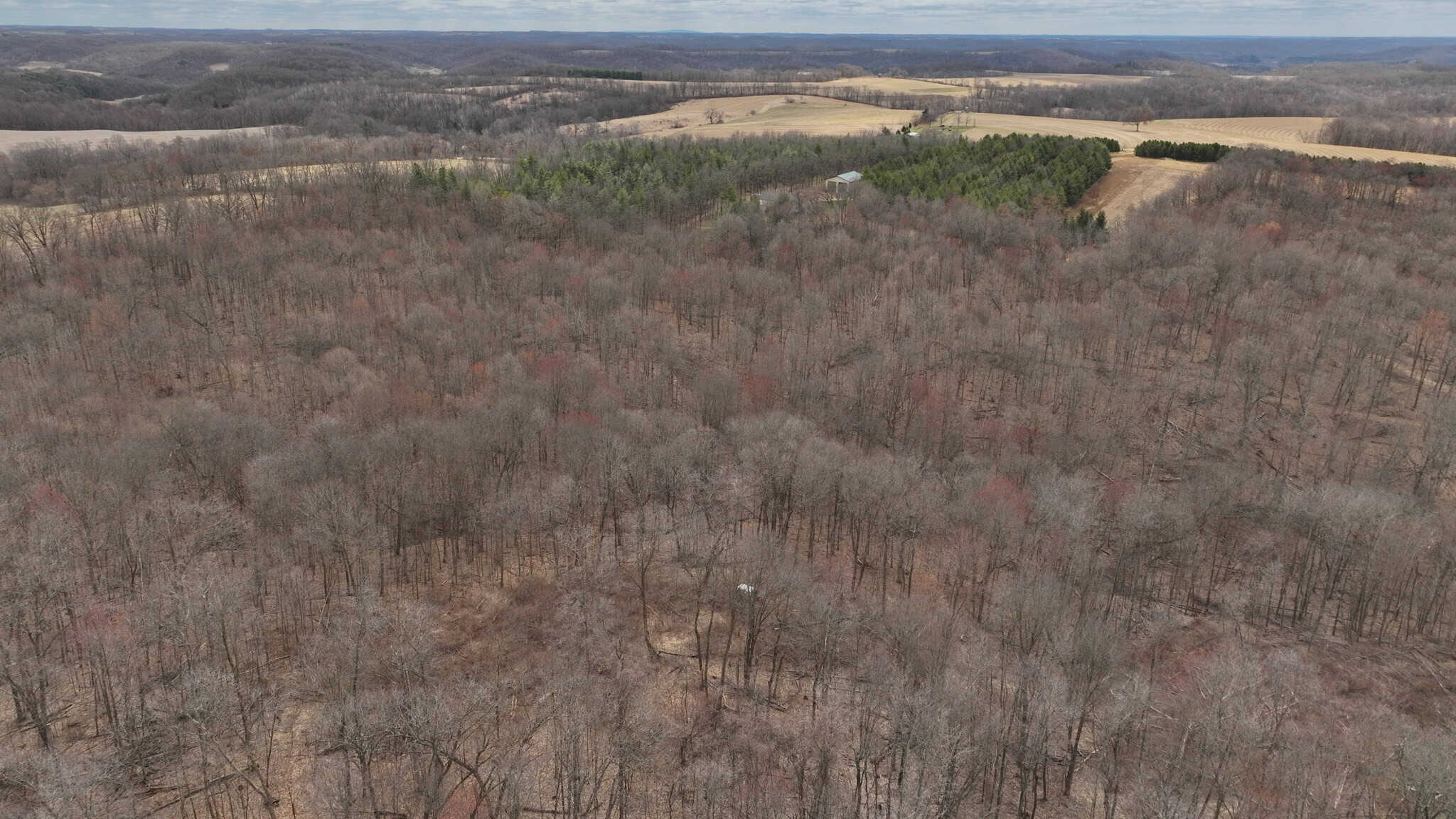 Hunting Land for Sale in Richland County, Wisconsin