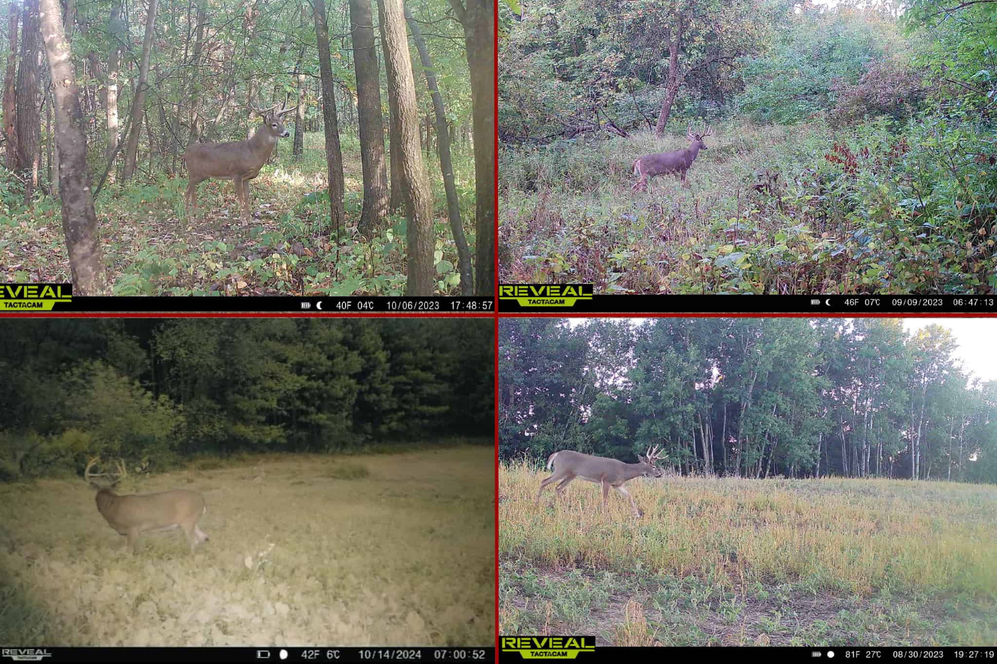 World-Class Recreational and Hunting Property for Sale in Jackson County, Wisconsin