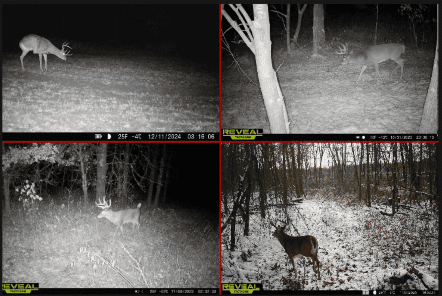 Nearly 1,000-acre Landholding for Sale in Wisconsin
