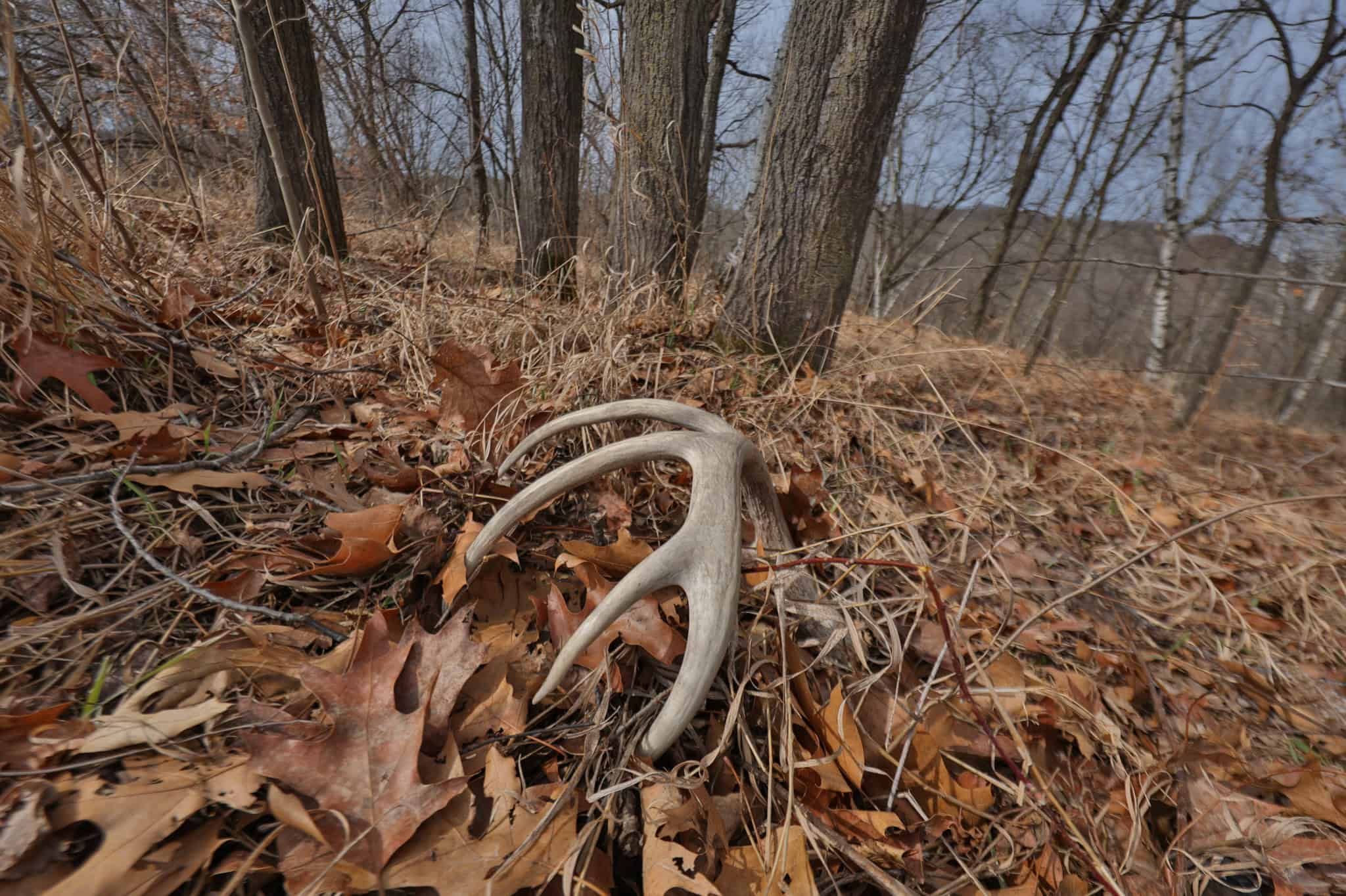World-Class Recreational and Hunting Property for Sale in Jackson County, Wisconsin